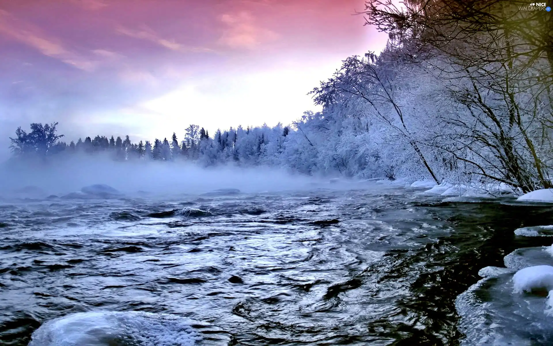 stream, winter, rapid