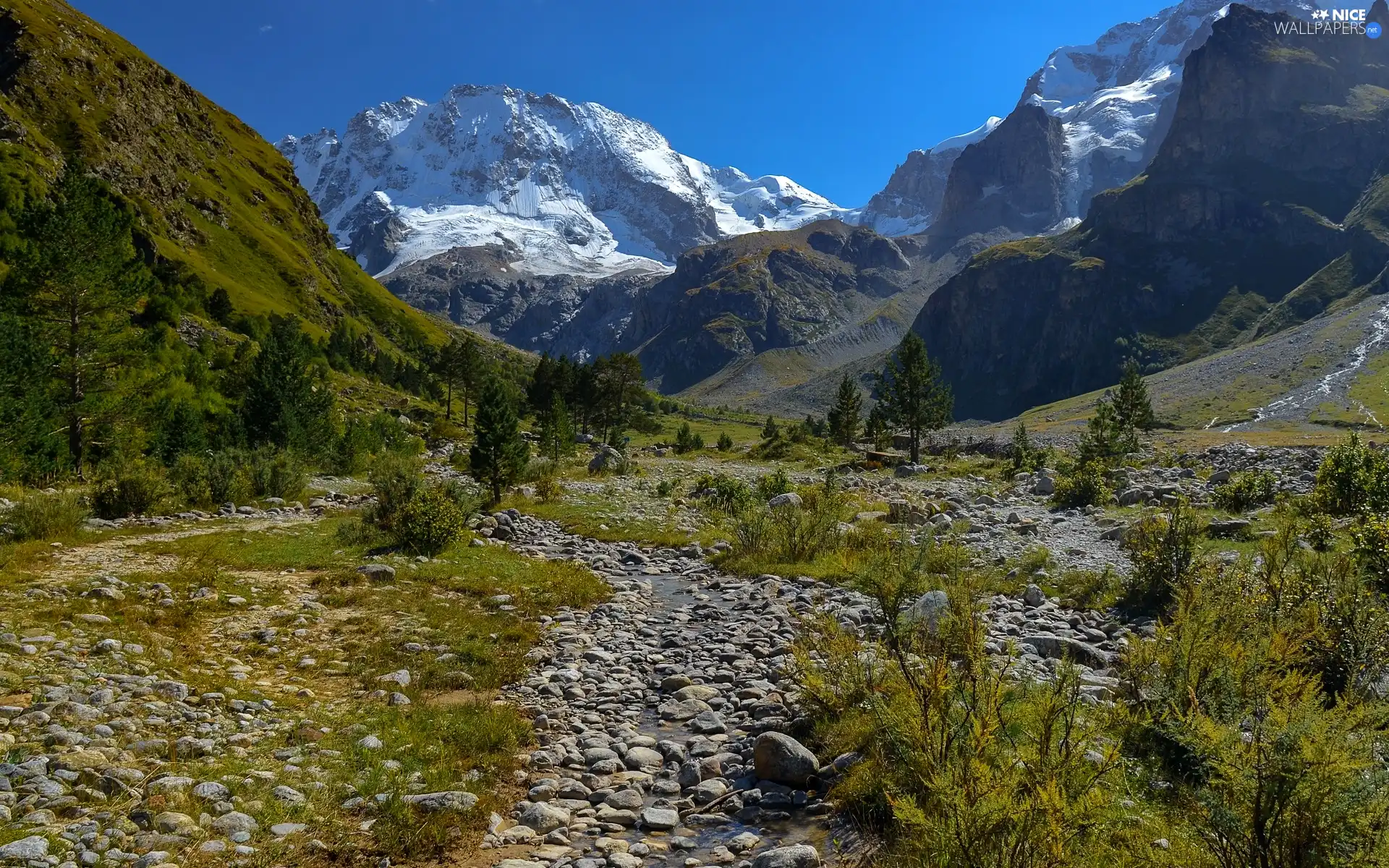 Stones, Valley, viewes, stream, Mountains, trees, Bush