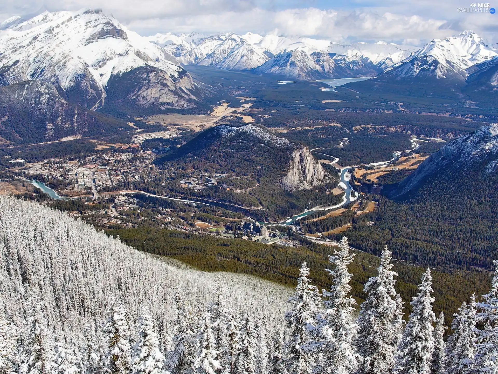 winter, forest, stream, Mountains