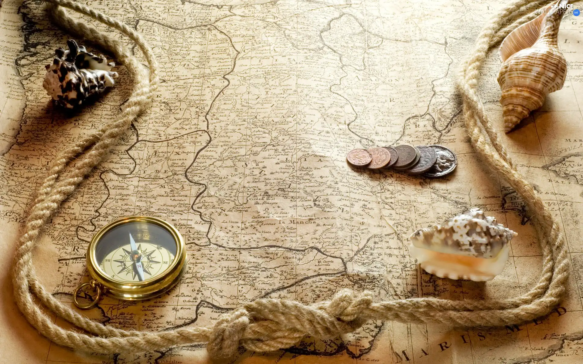 string, Shells, Map, compass, Old