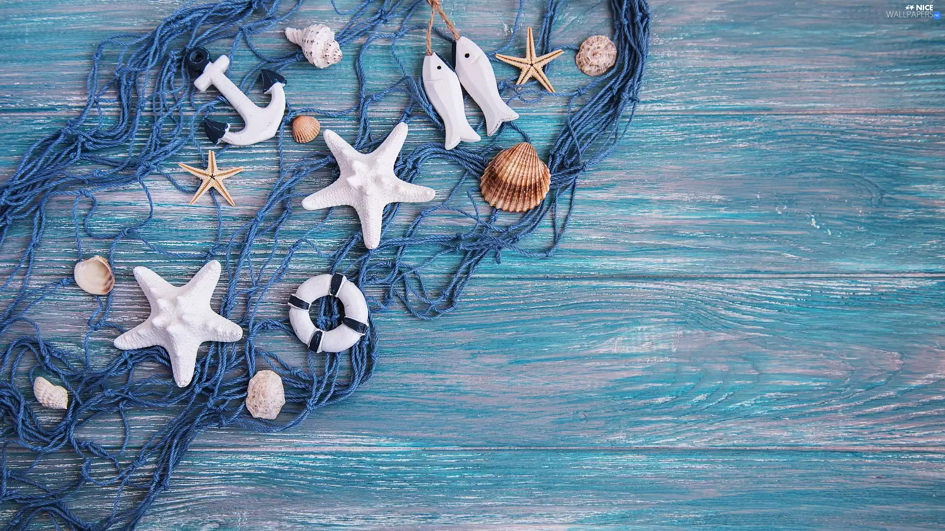 strings, Blue, net, Shells, boarding, composition, anchor, Blue, starfish