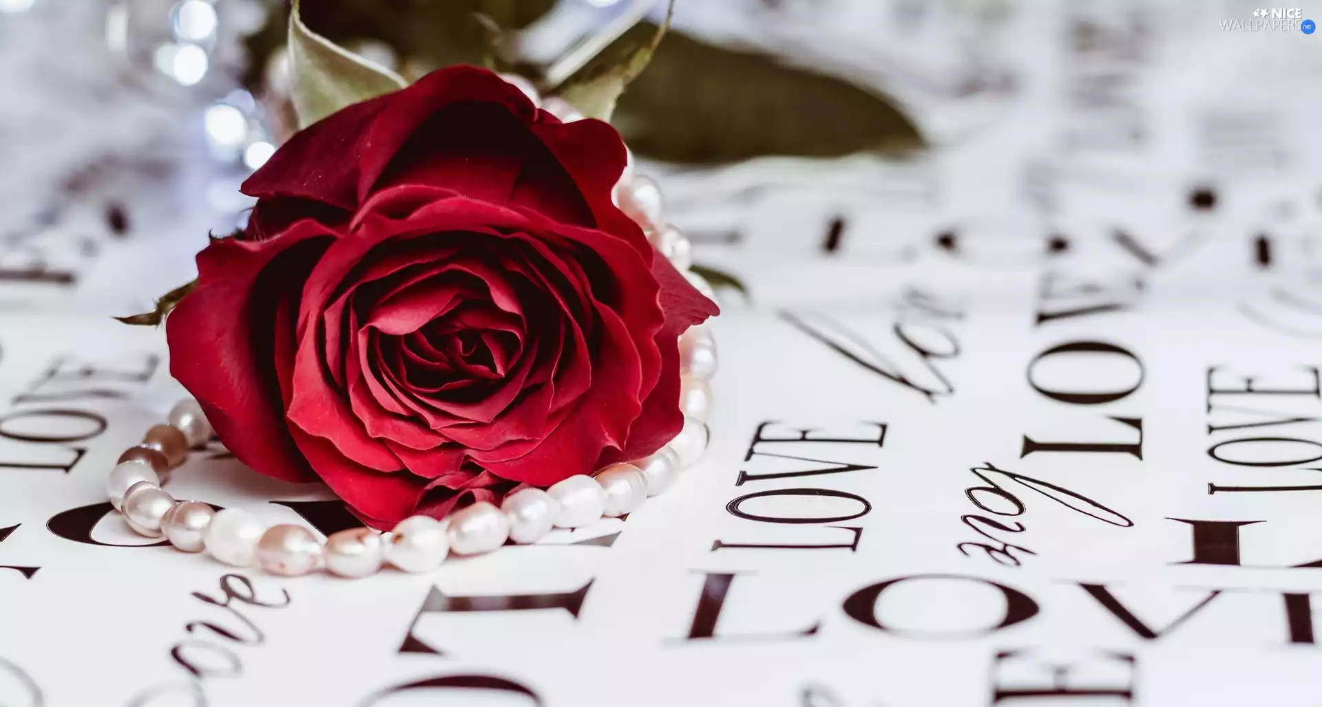 chaplet, Colourfull Flowers, subtitles, LOVE, Pearl, rose