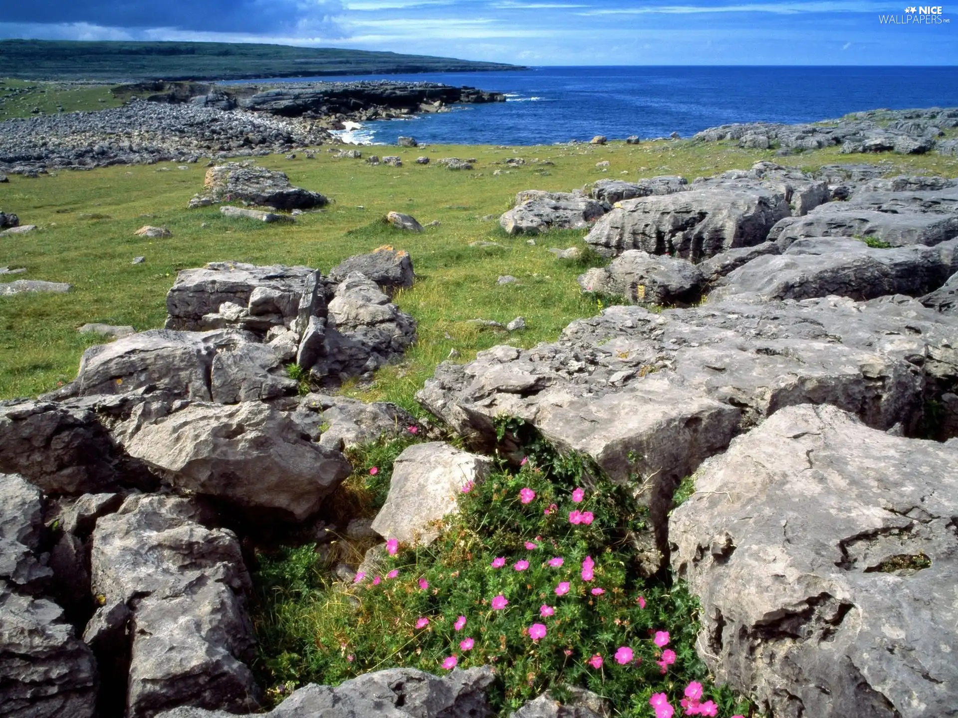 Coast, sea, summer, rocks