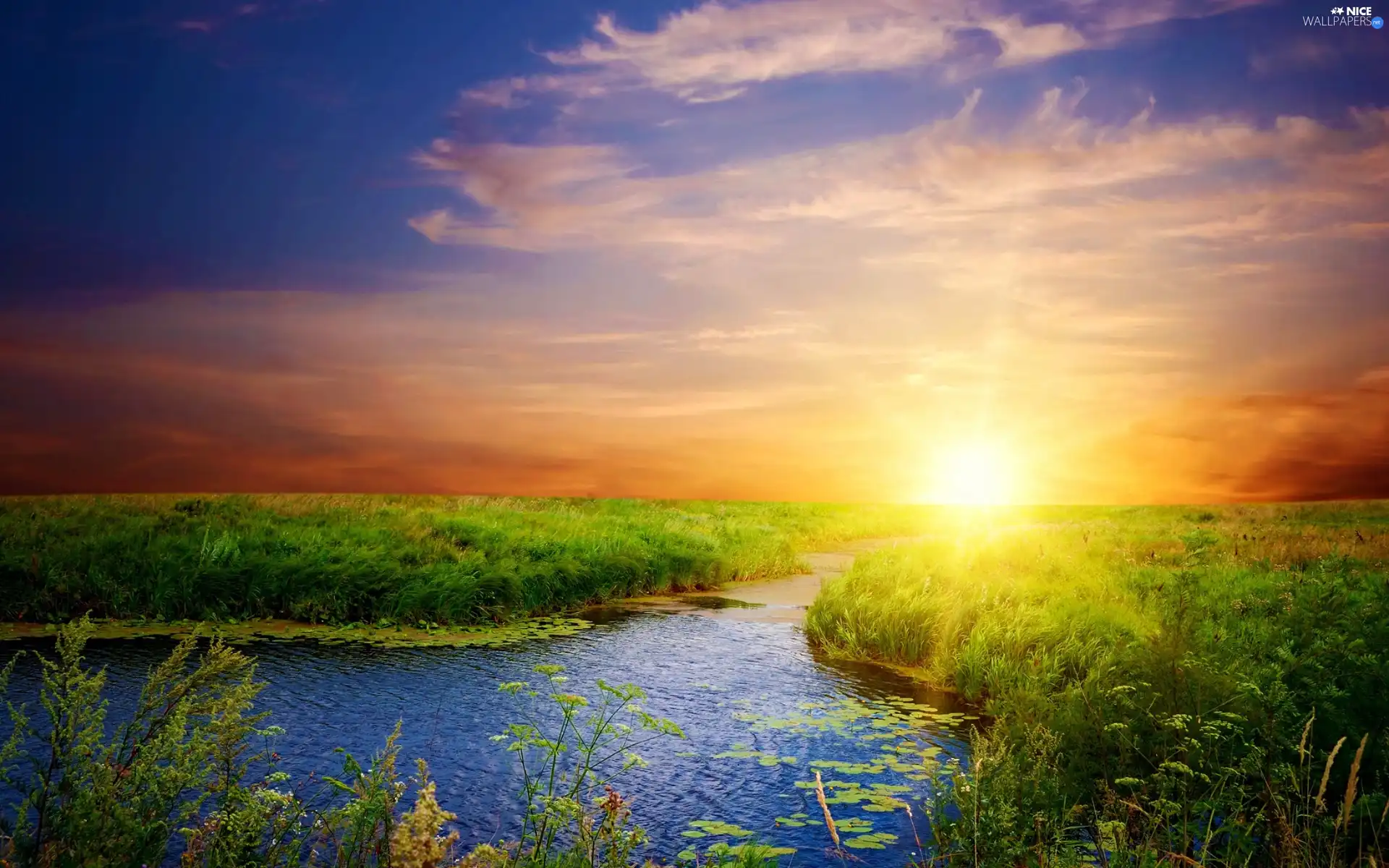 brook, Sky, sun, grass