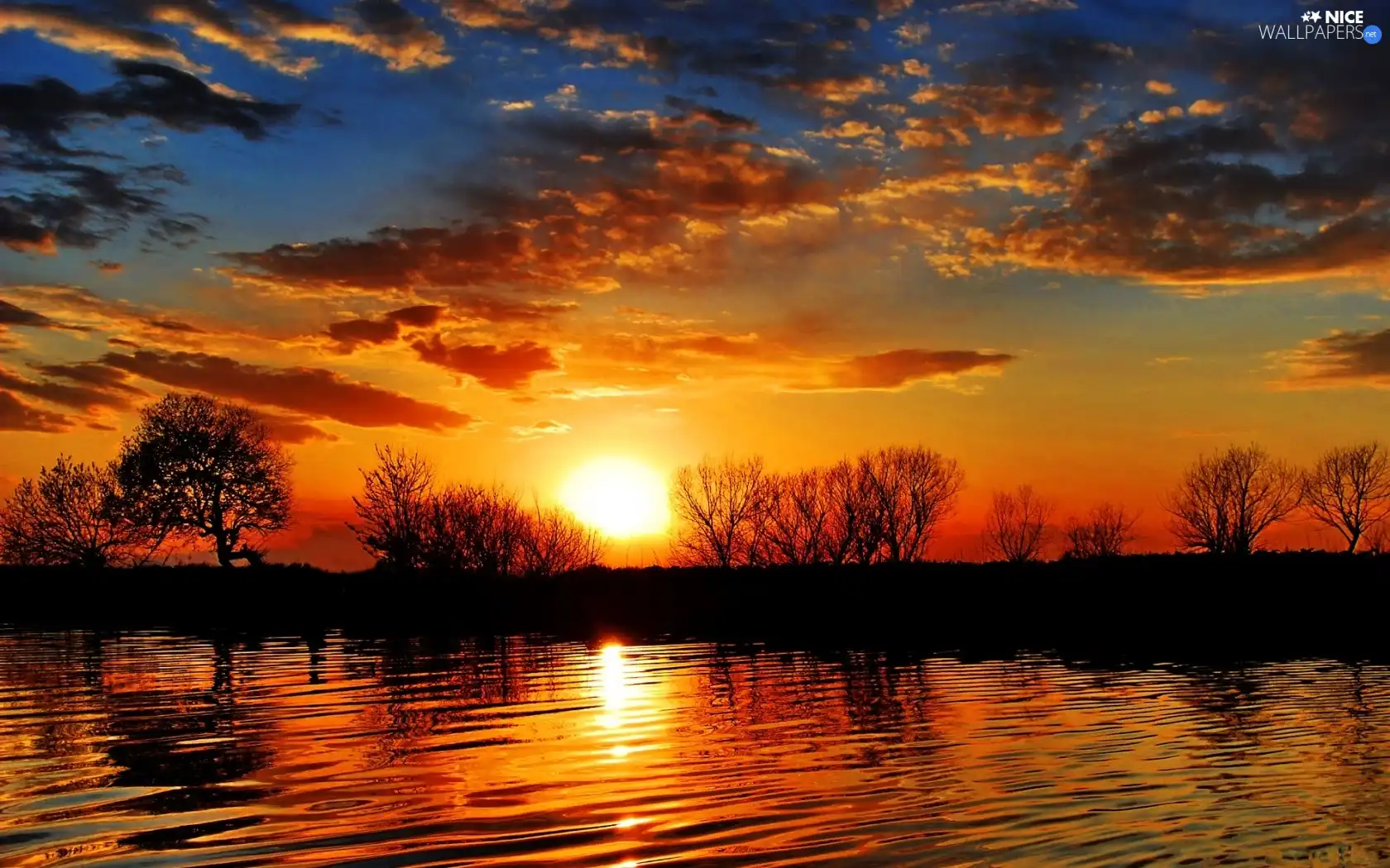 sun, Bush, clouds, west, River