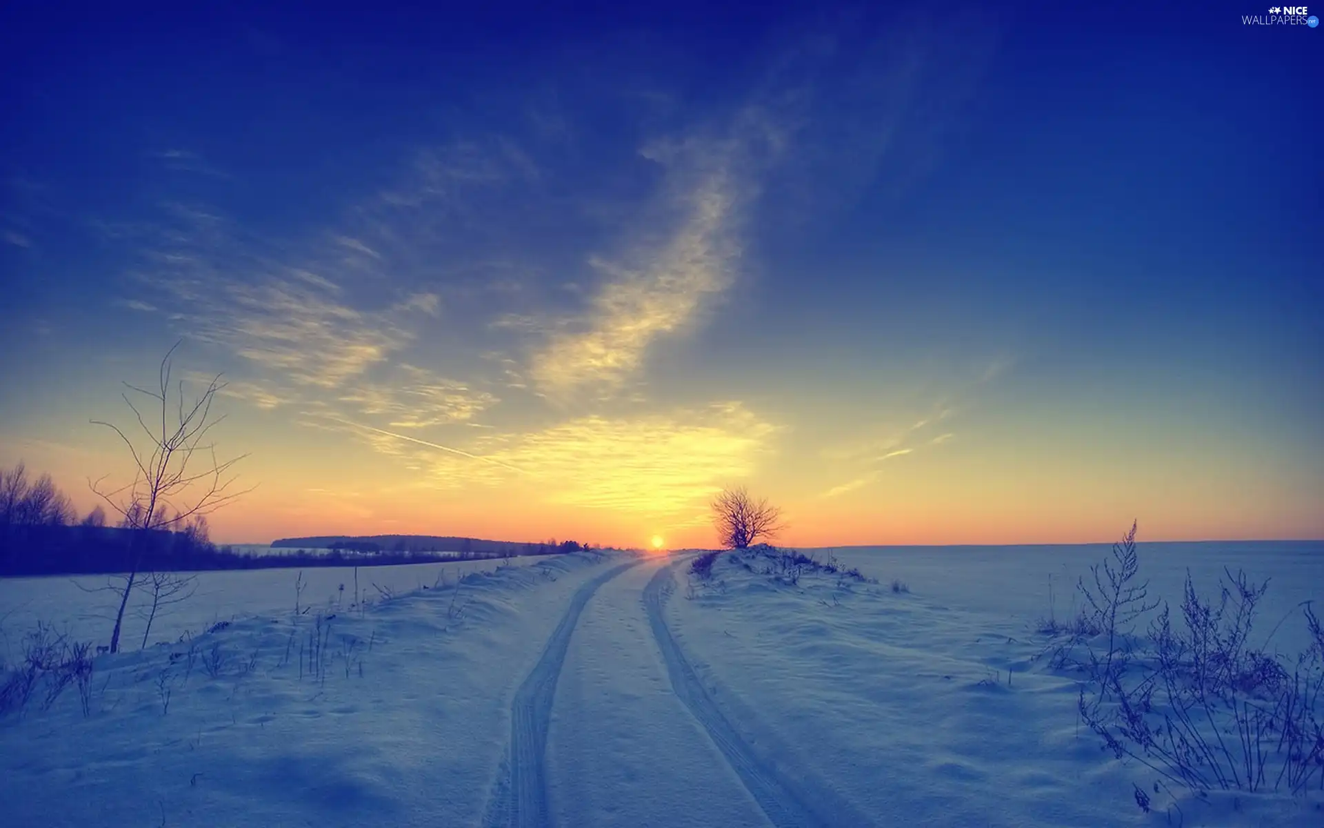 field, west, sun, winter