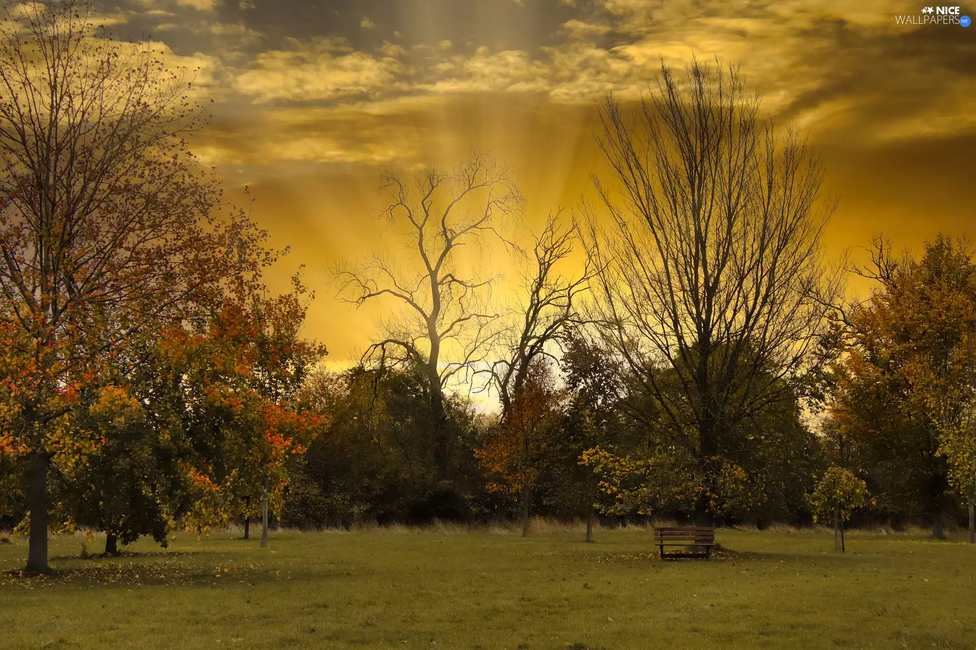 sun, Bench, viewes, luminosity, sunny, autumn, trees, Sunrise, flash, ligh