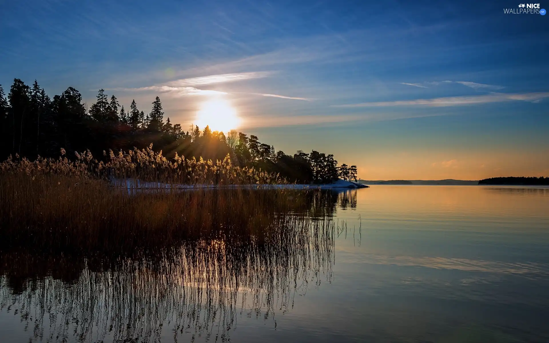 lake, east, sun, rushes