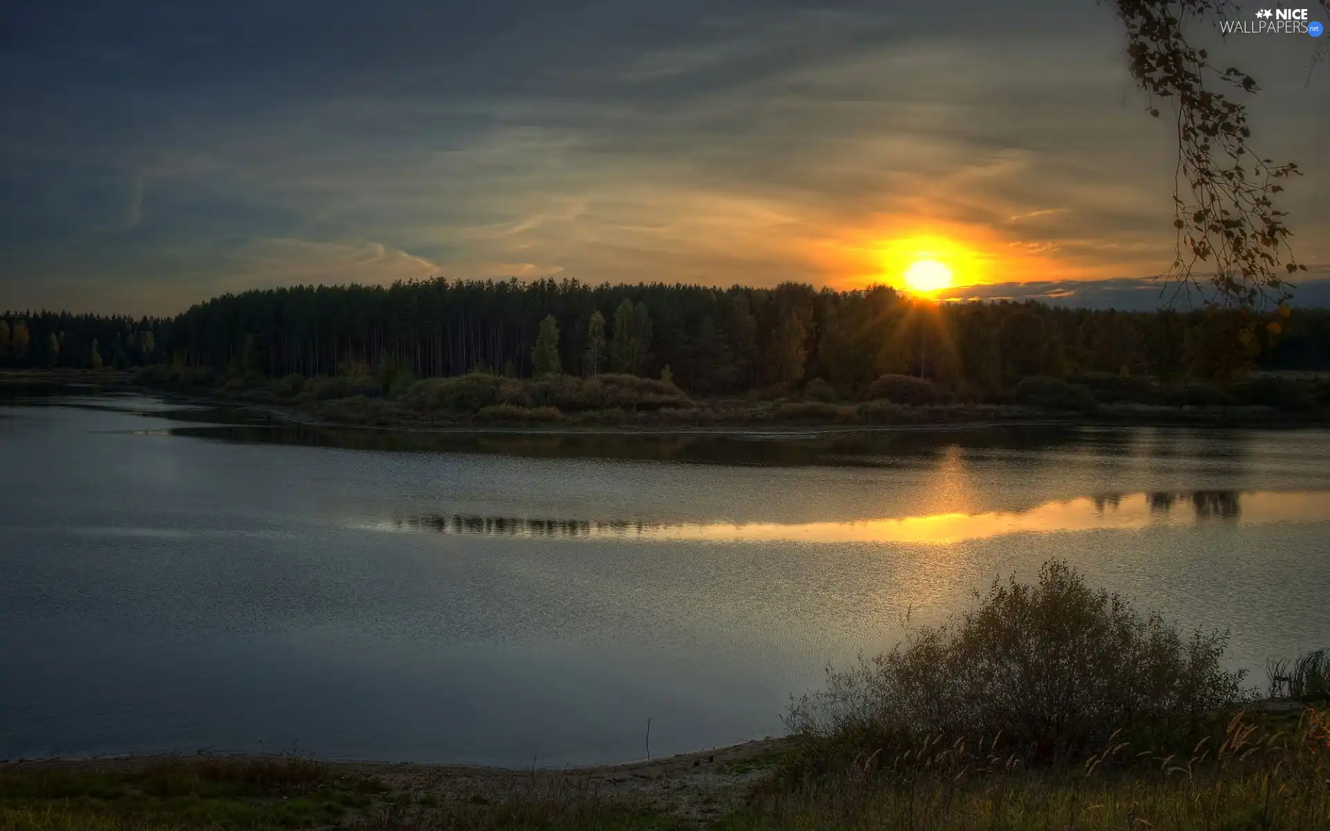 lake, rays, sun, woods