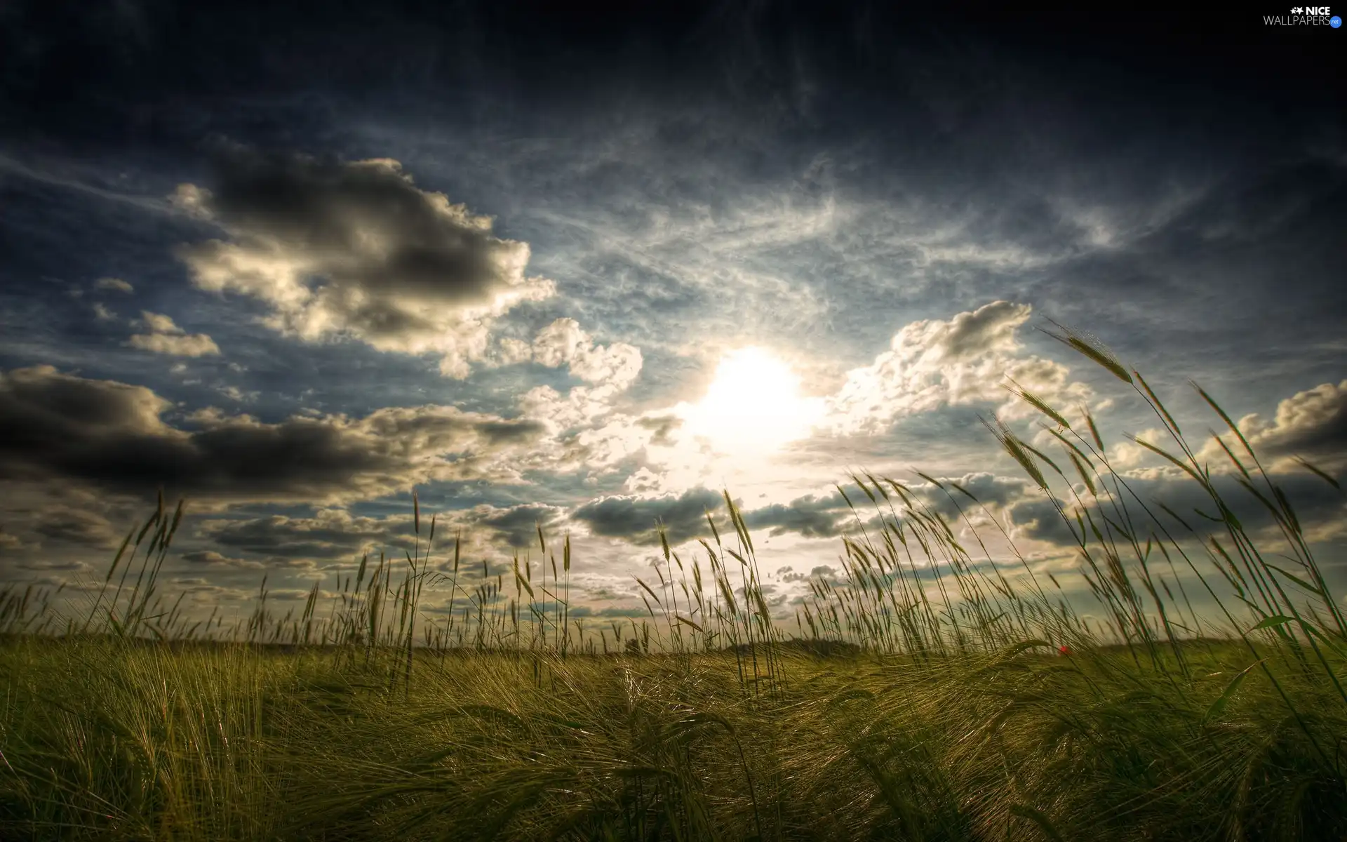 ligh, Sky, flash, Przebijające, clouds, sun, luminosity