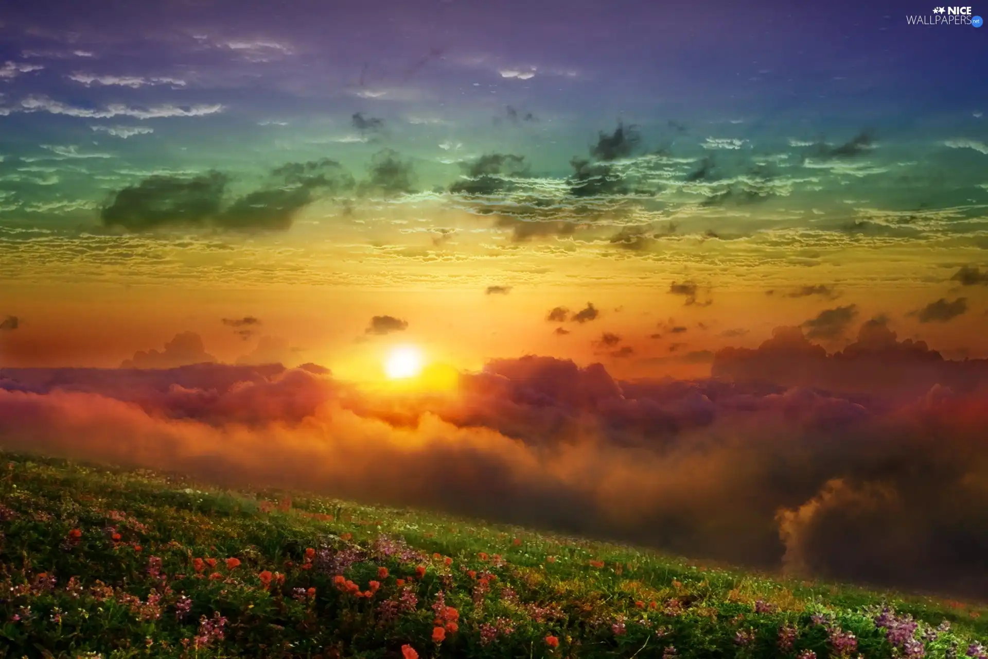 sun, Meadow, clouds, west, color