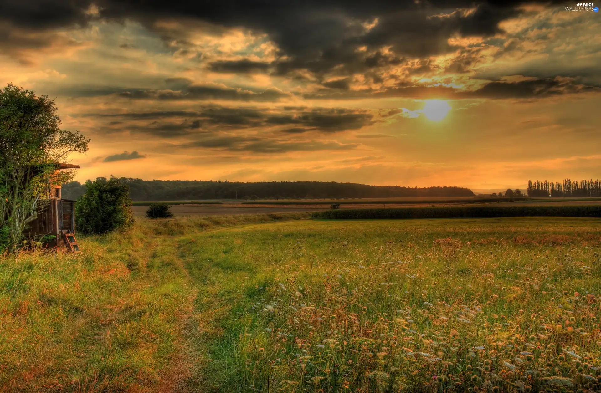 Meadow, west, sun, clouds