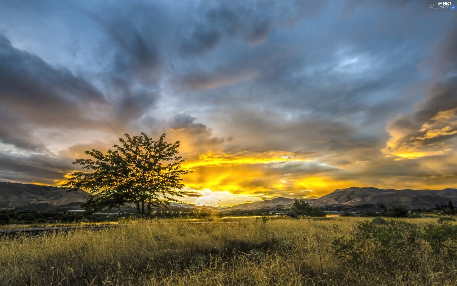 medows, west, sun, Mountains