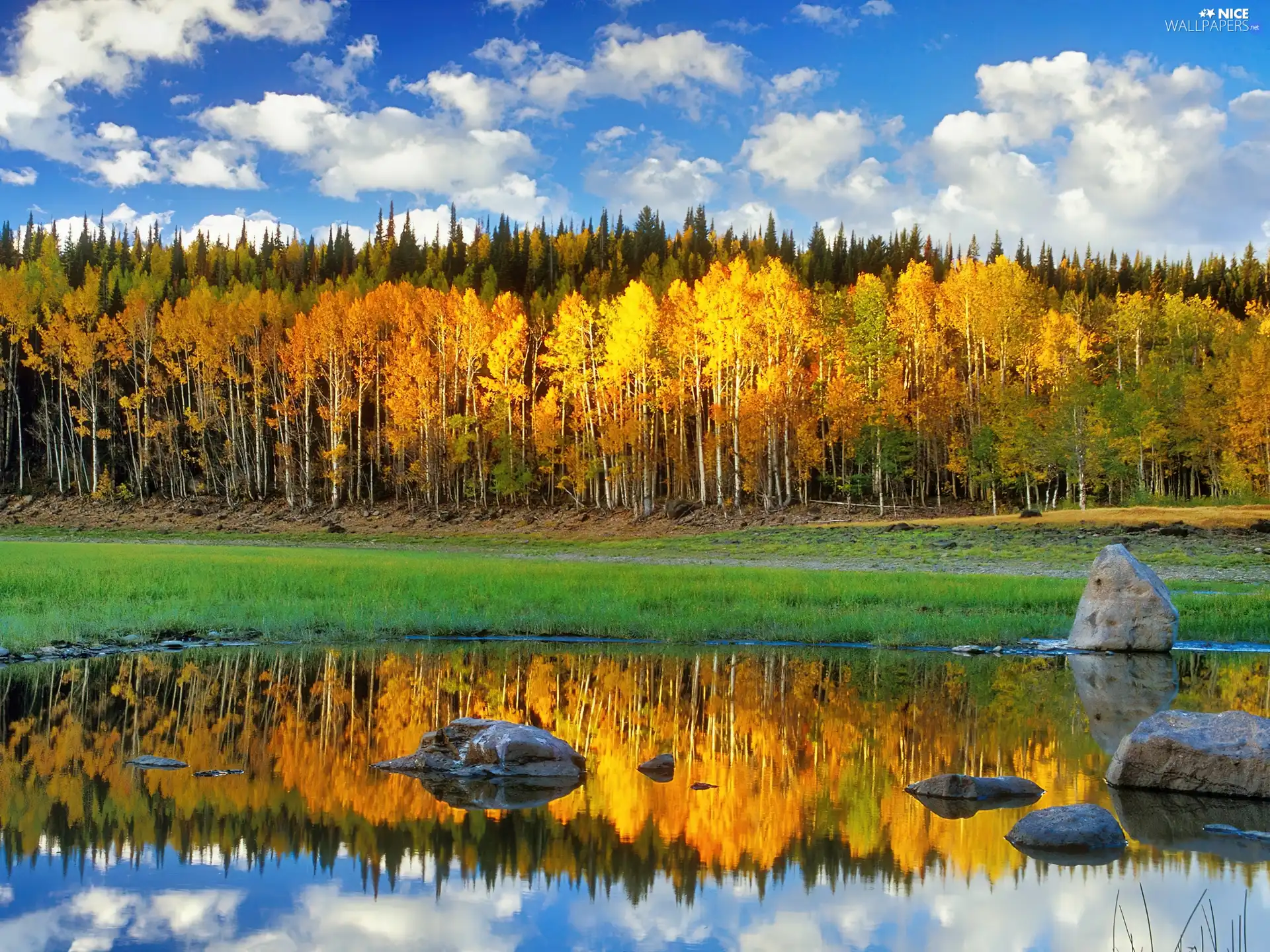 Stones, forest, sun, reflection, rays, lake