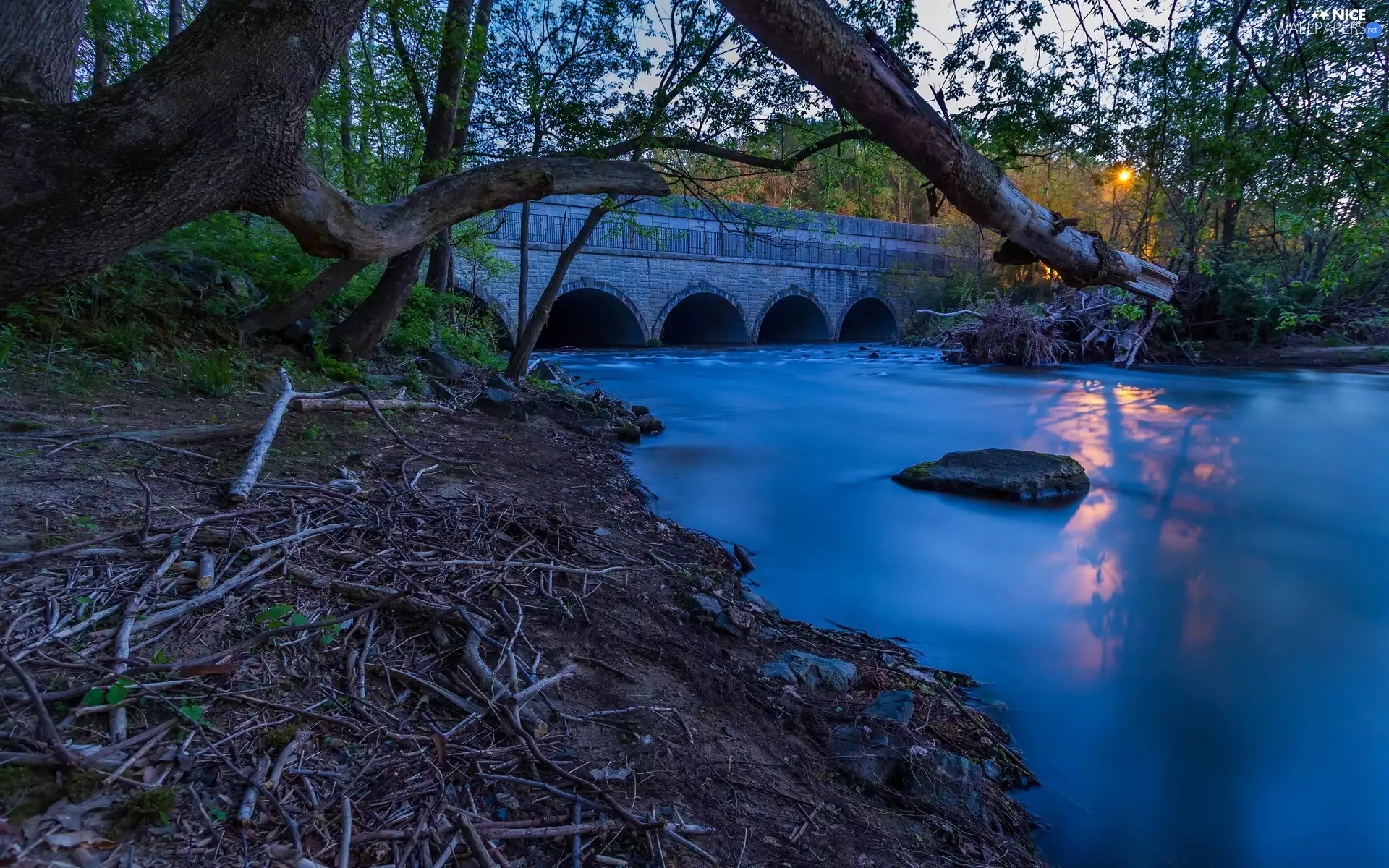 trees, bridge, rays, sun, viewes, River