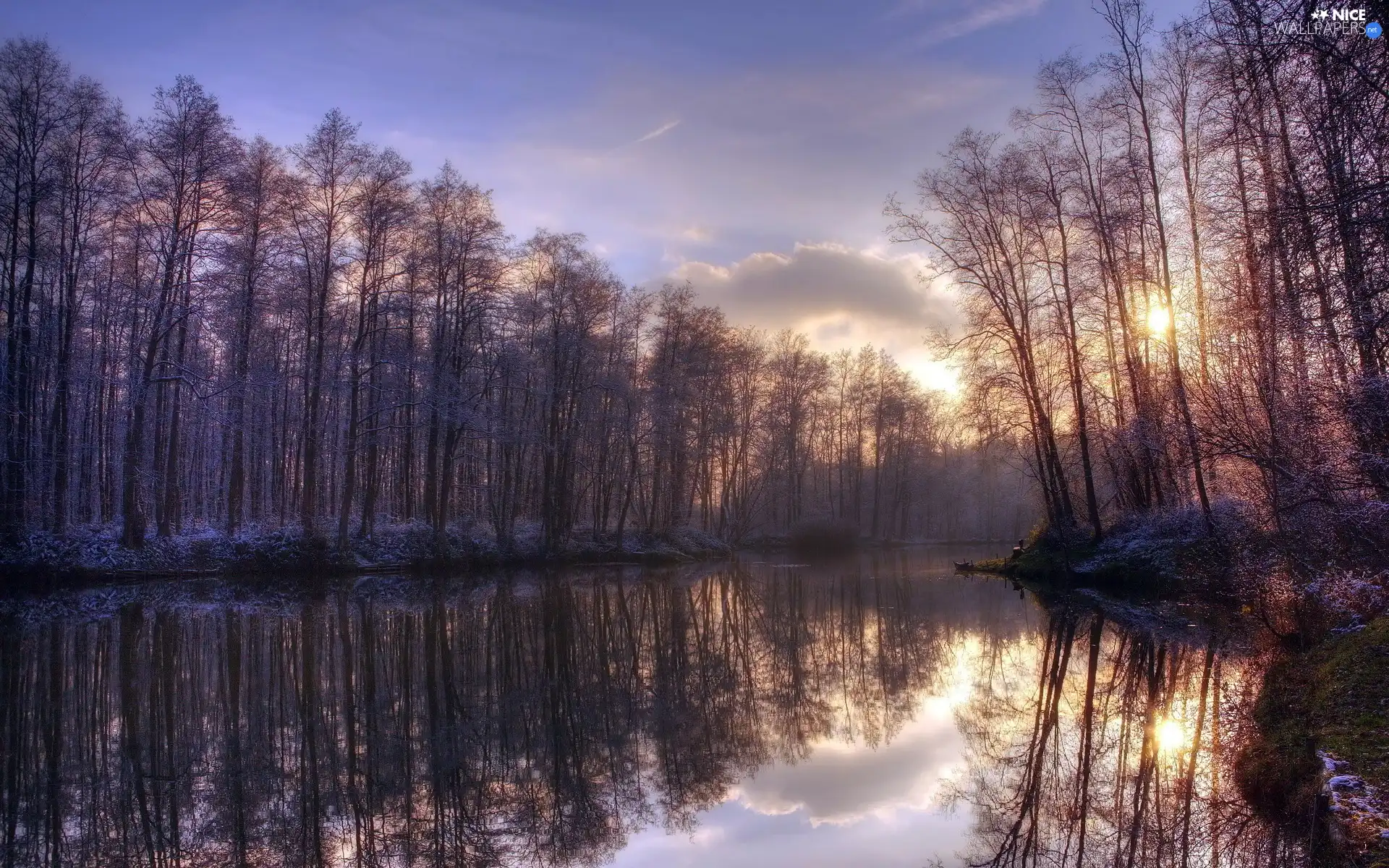 River, west, sun, forest