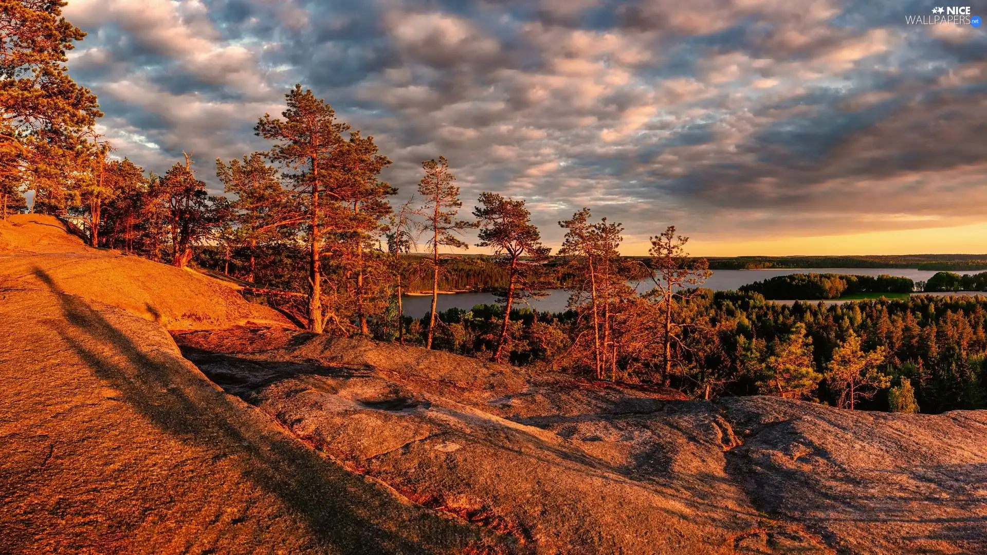 trees, lake, glamour, sun, viewes, scarp