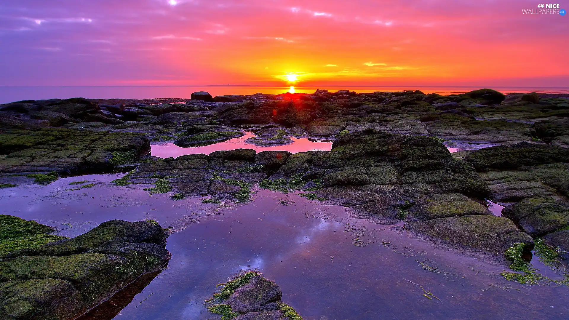 sea, west, sun, Stones