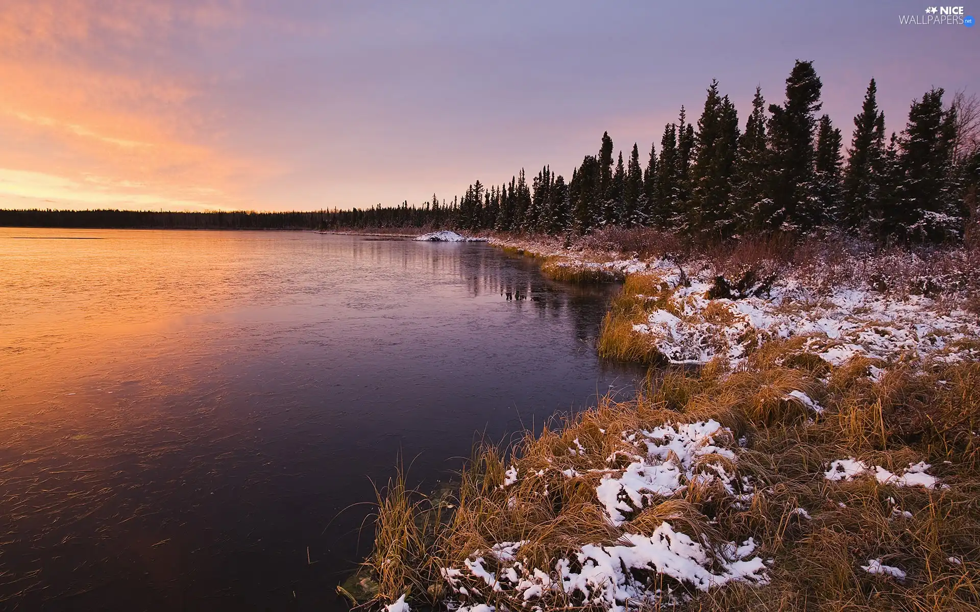 sun, snow, forest, west, lake