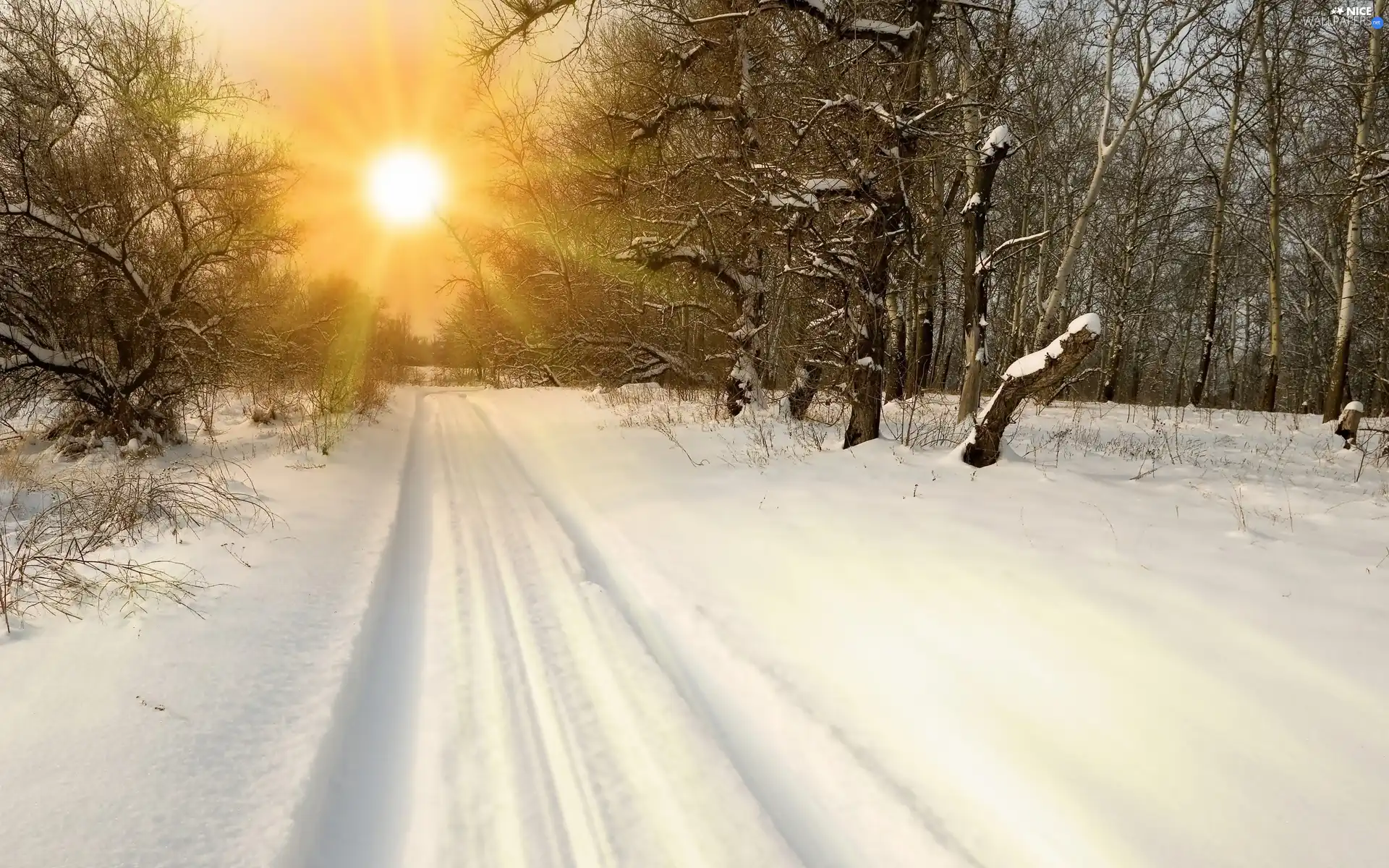 snowy, rays, sun, Way