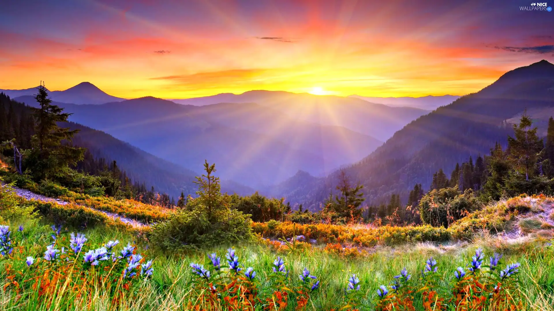 Spring, rays, sun, Mountains