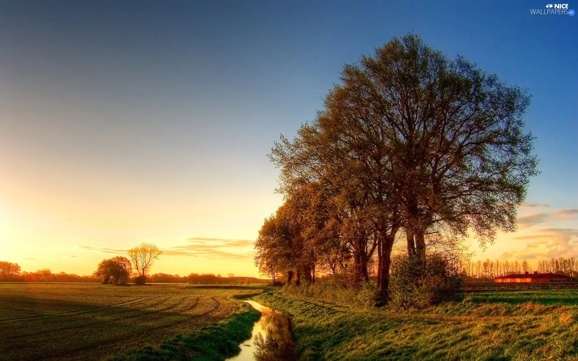 stream, west, sun, Field