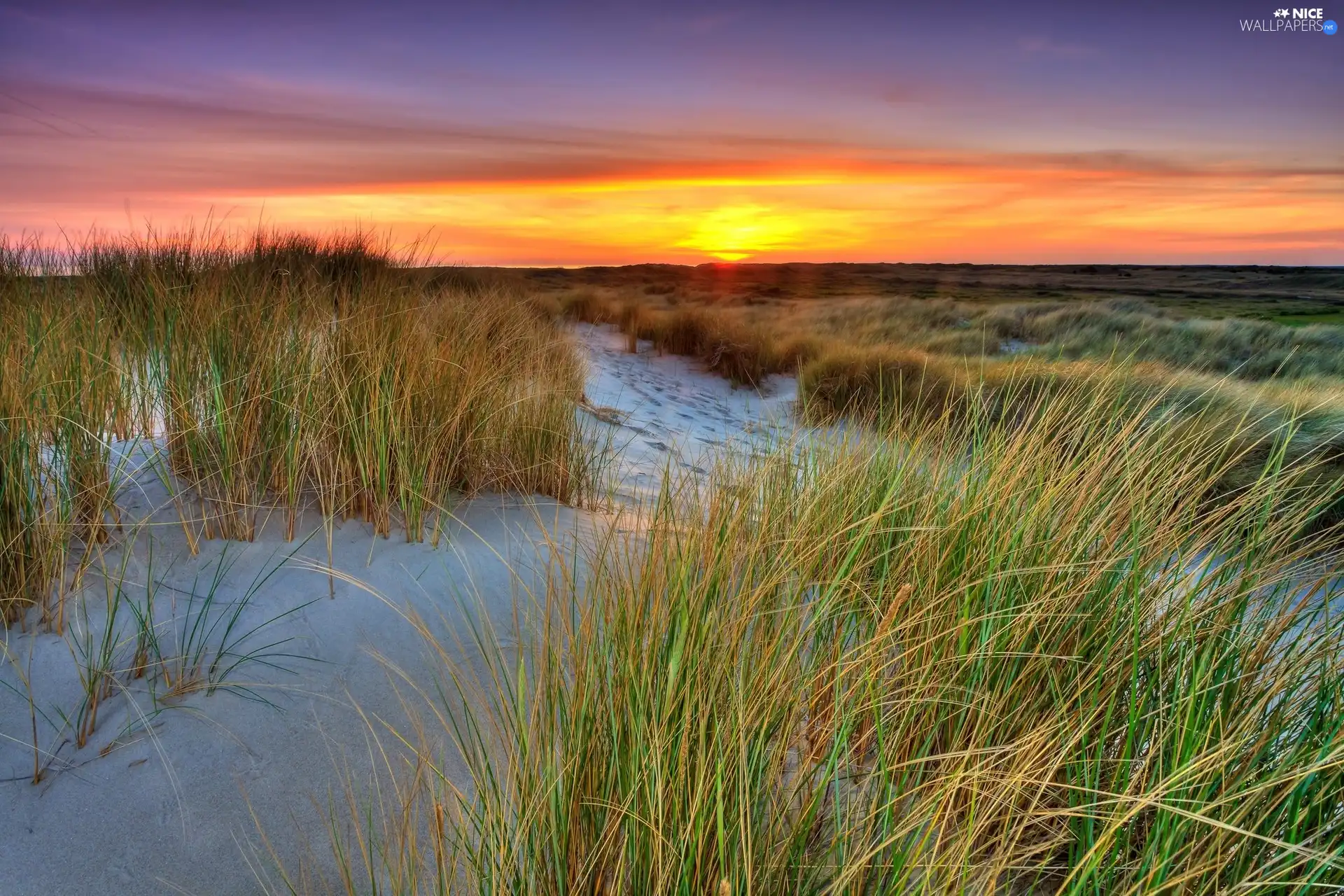 sun, Dunes, west