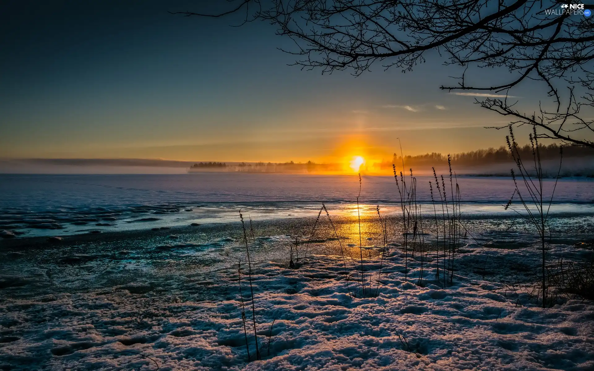 sun, winter, woods, west, field