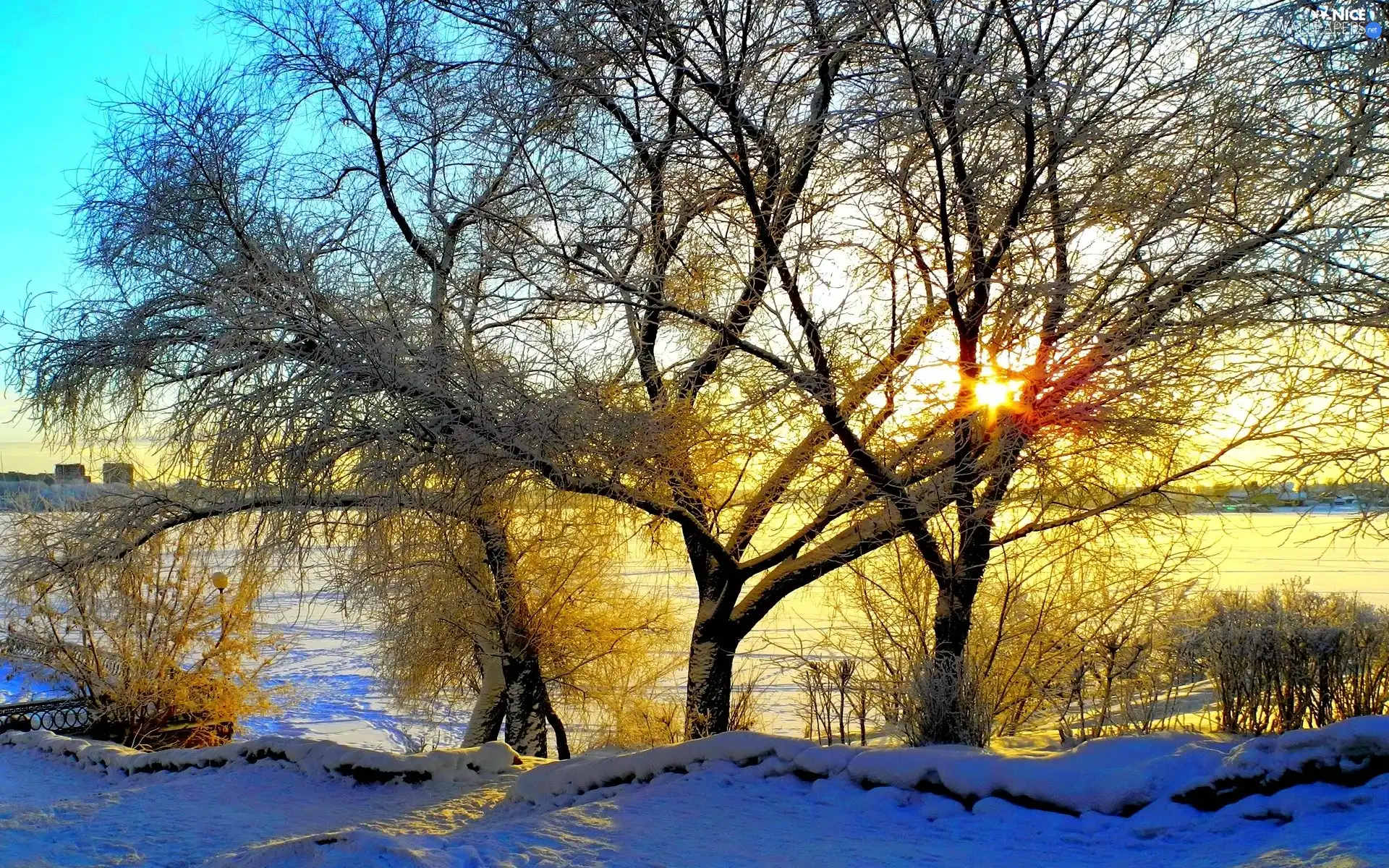 viewes, River, sun, winter, rays, trees