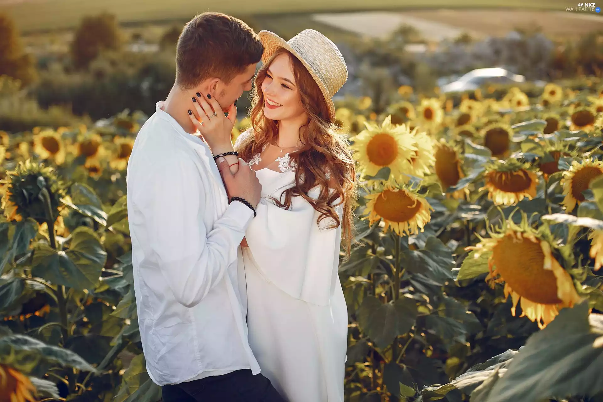 sunflowers, Field, Steam, Women, a man, shirt, White, dress, Hat