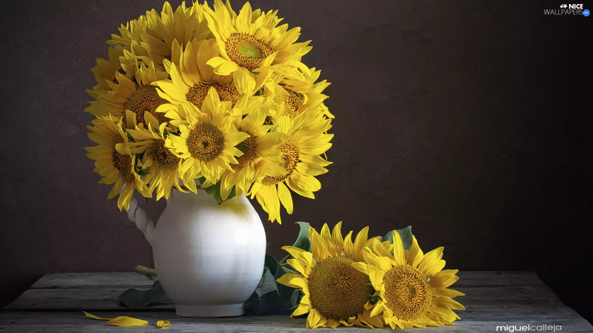 Nice sunflowers, White, jug, bouquet