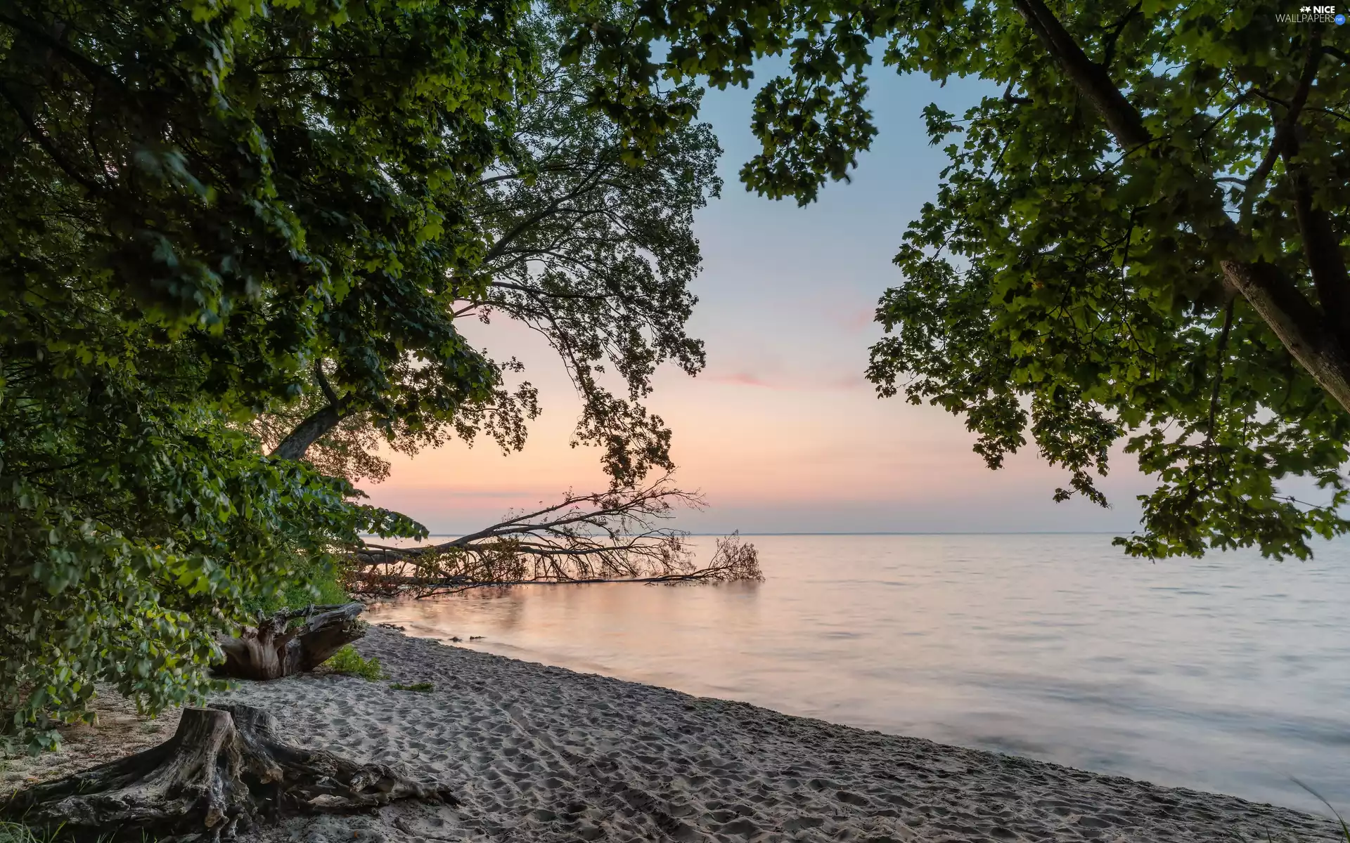 Sand, sea, viewes, Sunrise, trees, Beaches