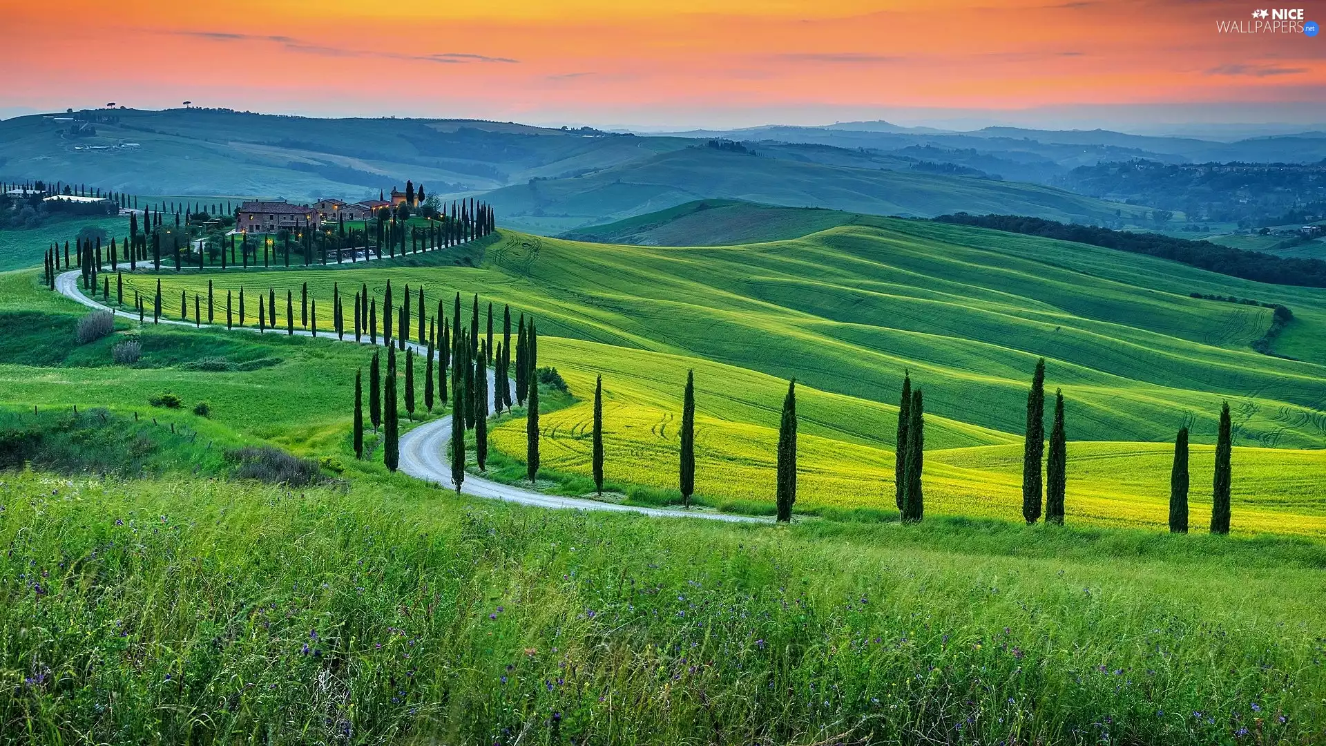 Houses, Tuscany, cypresses, The Hills, Italy, Way, Sunrise