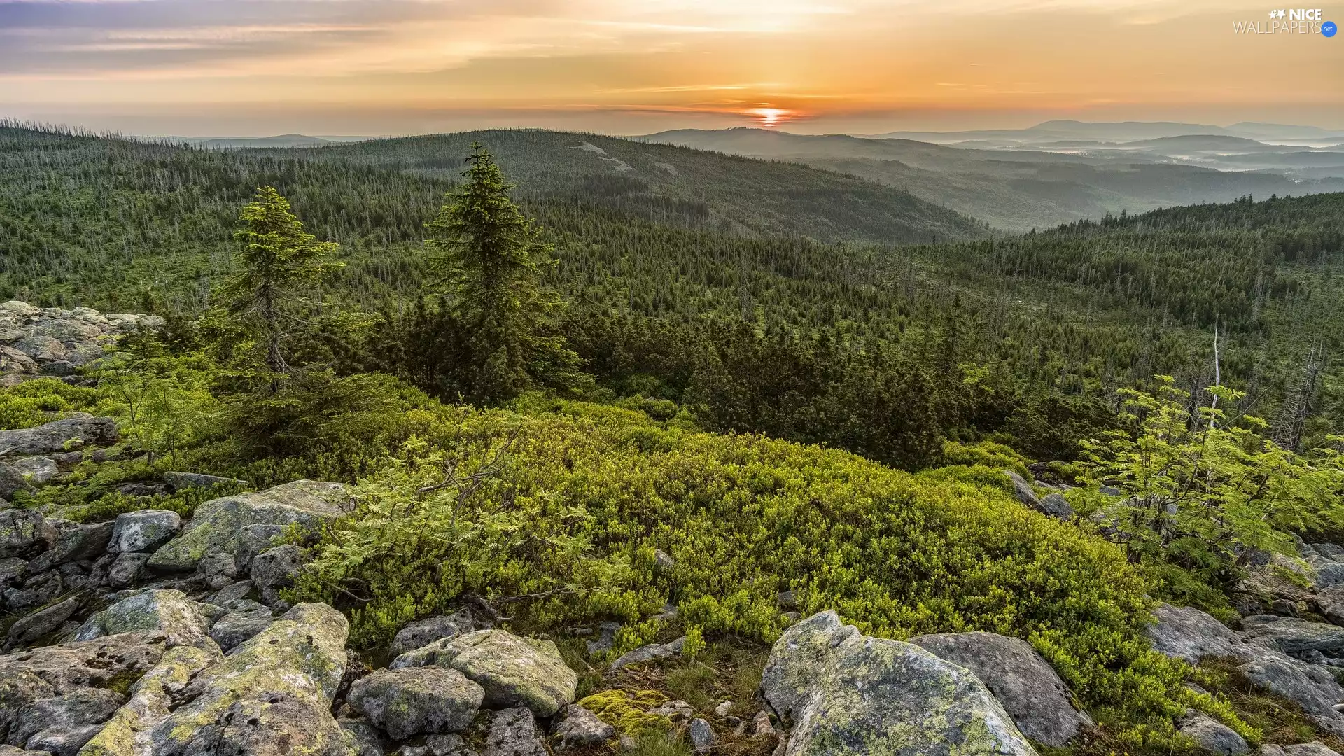 trees, The Hills, Stones, Mountains, forested, viewes, Sunrise