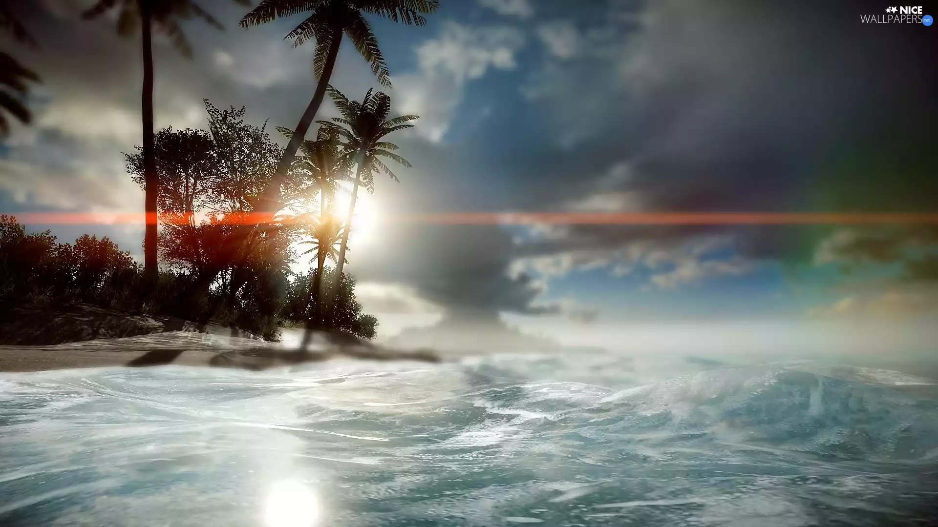 Palms, Ocean, dawn, Sunrise, Fog, Island