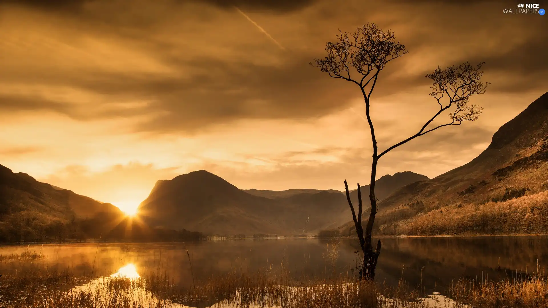 lake, Mountains, trees, Sunrise