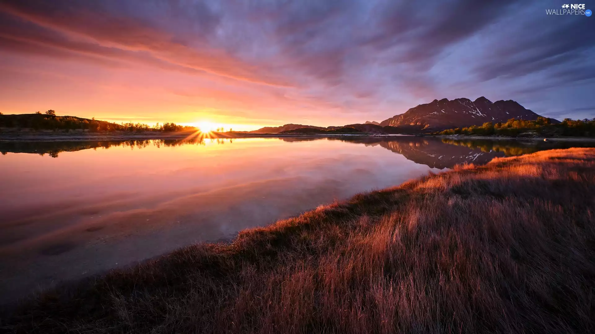 grass, Mountains, viewes, Sunrise, trees, lake