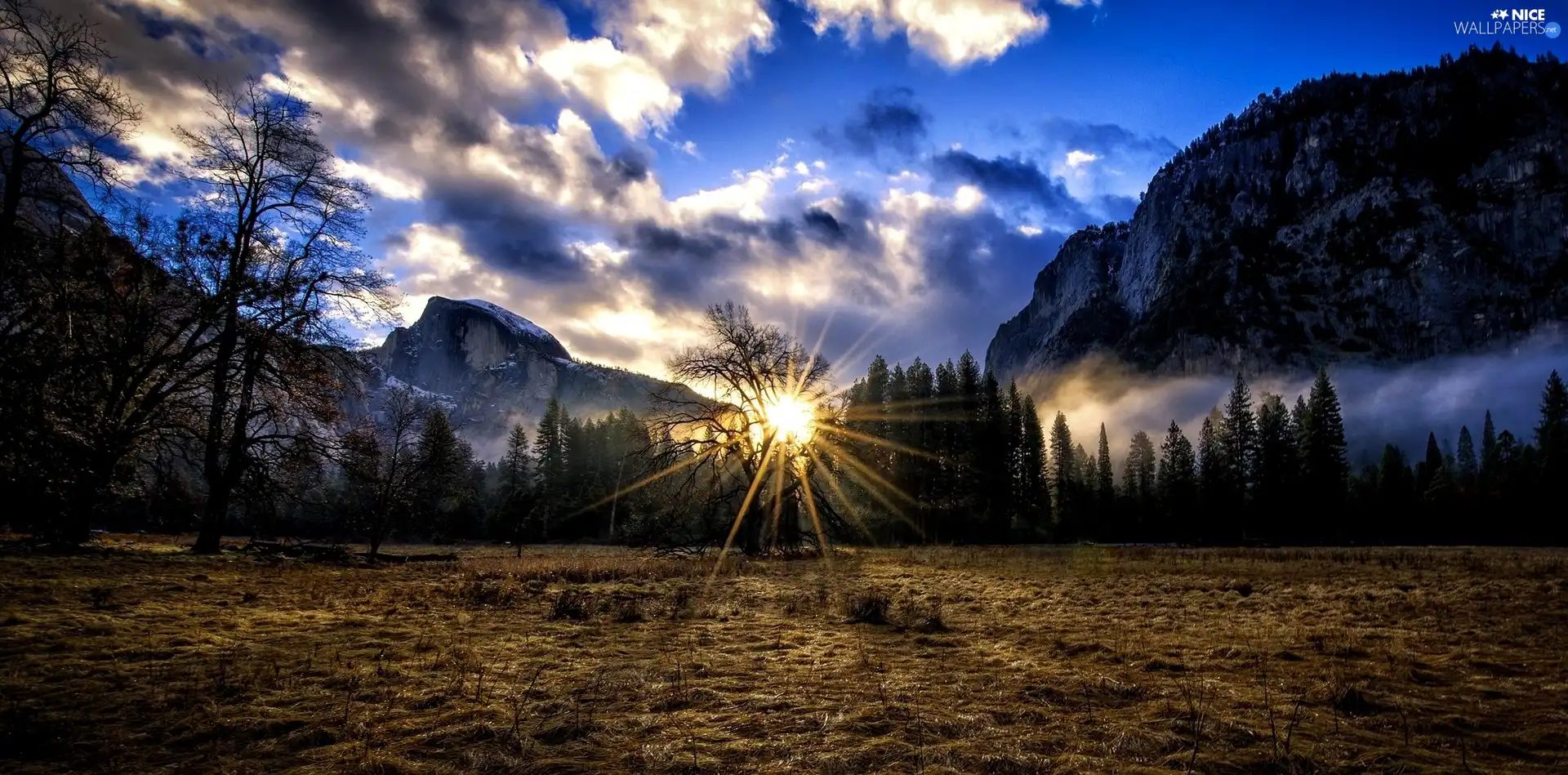 Mountains, Meadow, Sunrise, forest