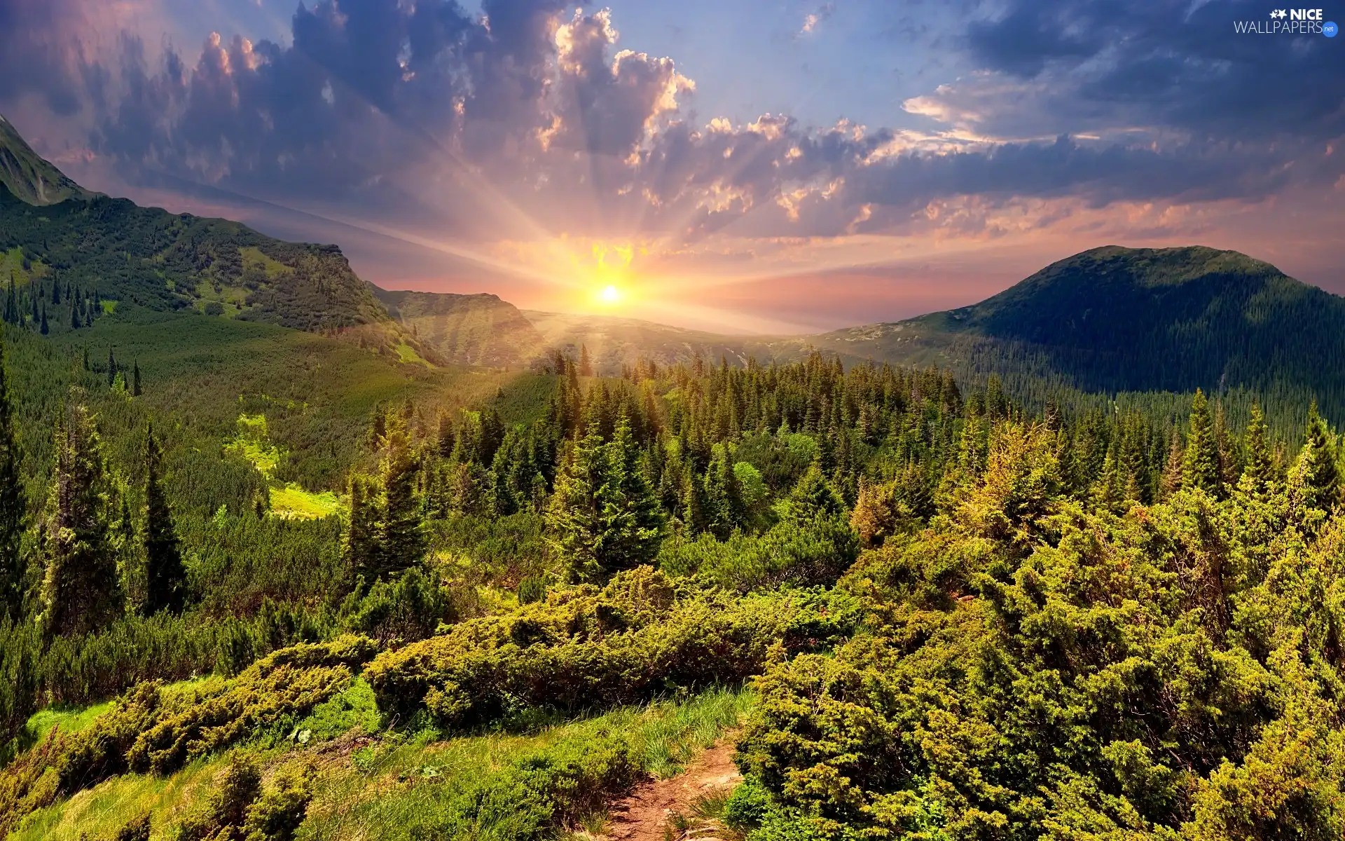 Mountains, Path, Sunrise, woods