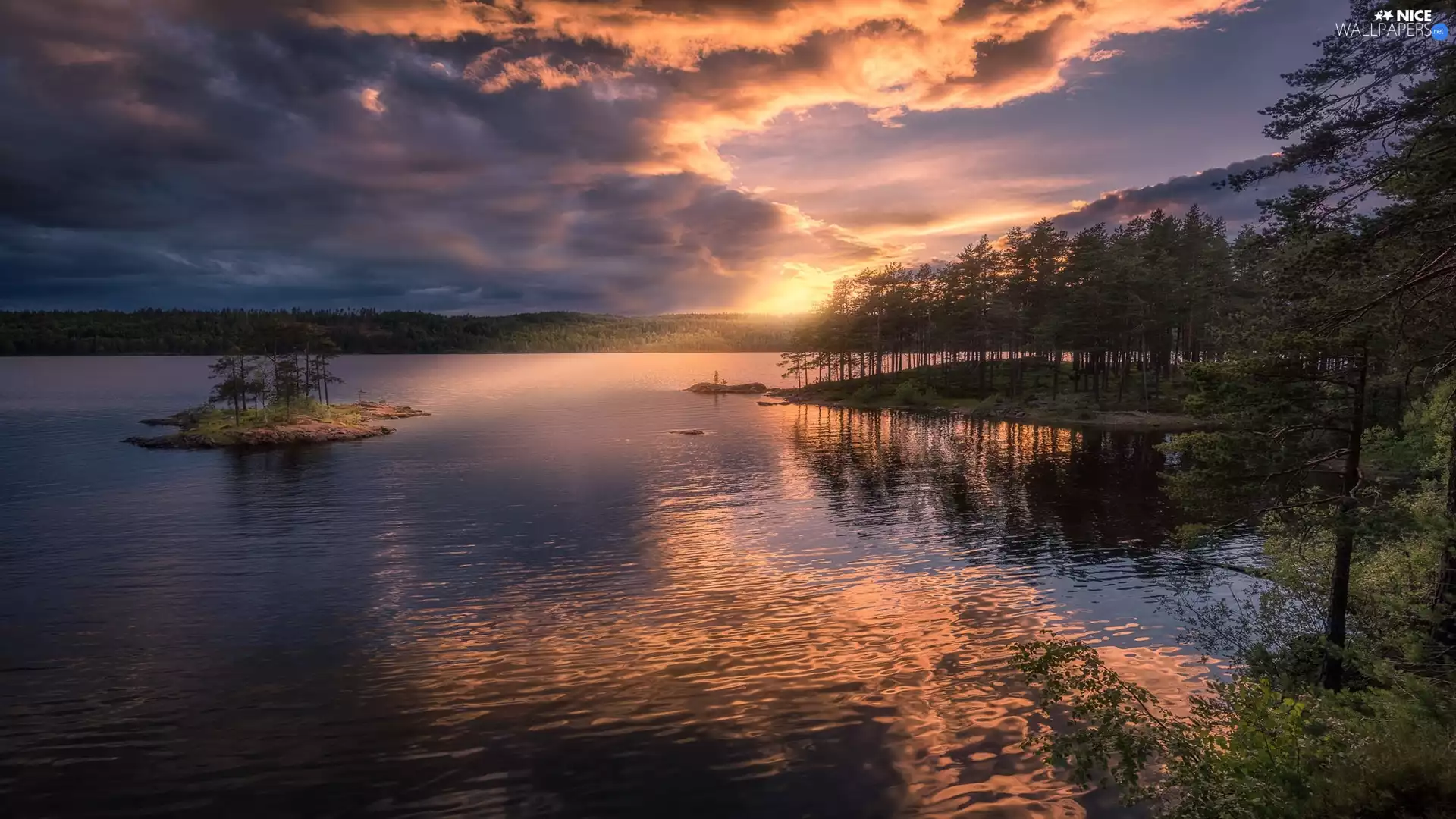 Sunrise, lake, clouds, Islet, viewes, Ringerike Municipality, Norway, trees