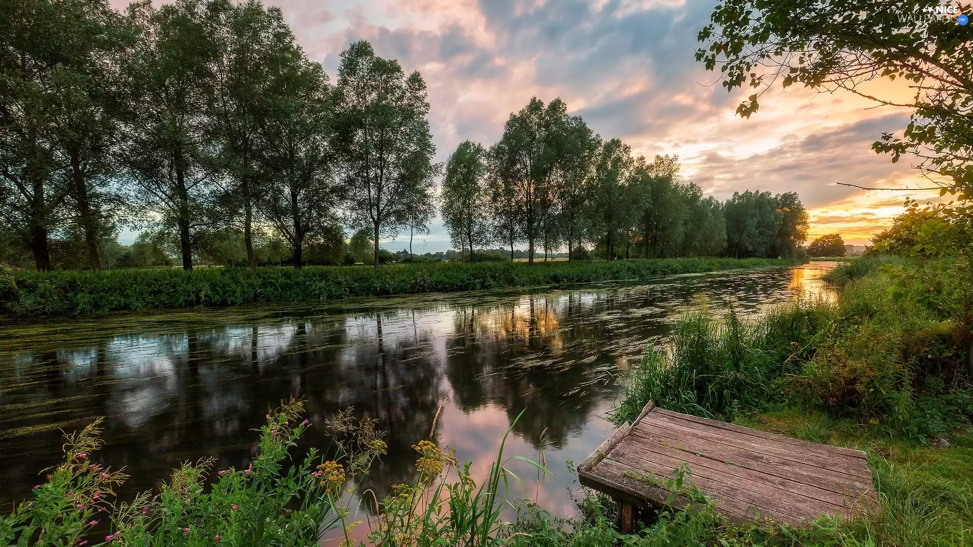 trees, River, VEGETATION, Sunrise, viewes, Platform