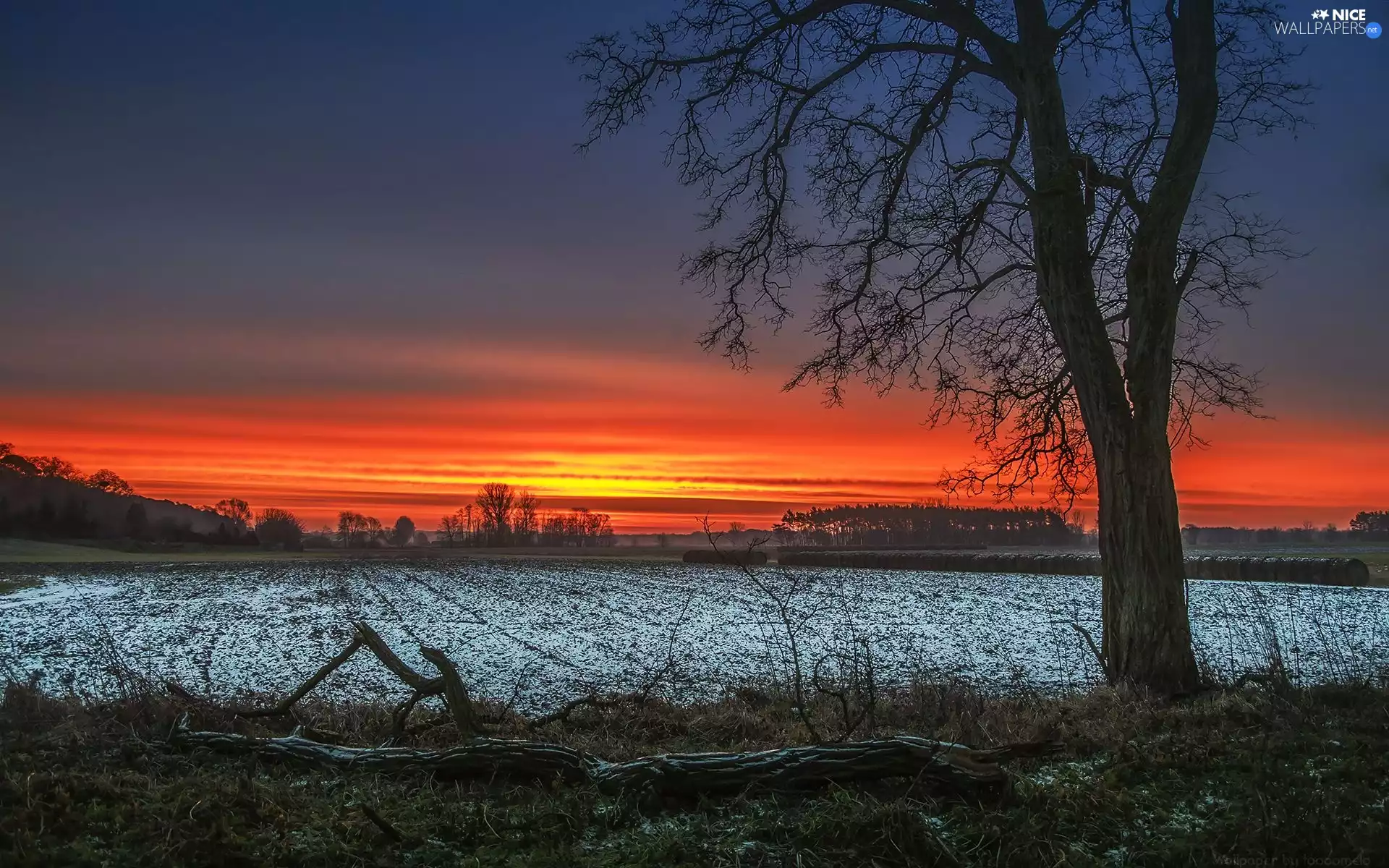 Poznań, Winter Morning, Sunrise