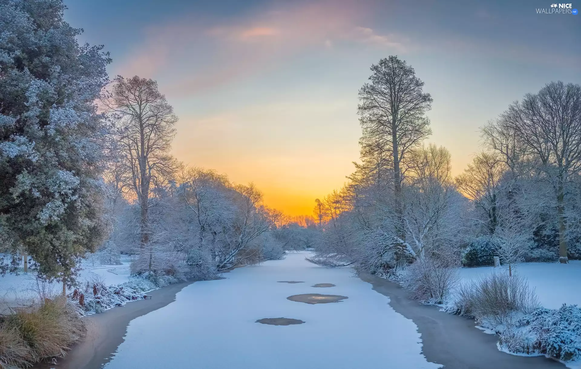 trees, winter, Bush, Sunrise, viewes, River