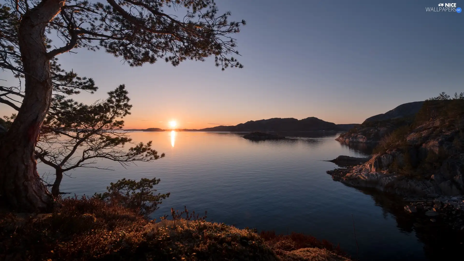 trees, lake, Bush, Sunrise, viewes, rocks