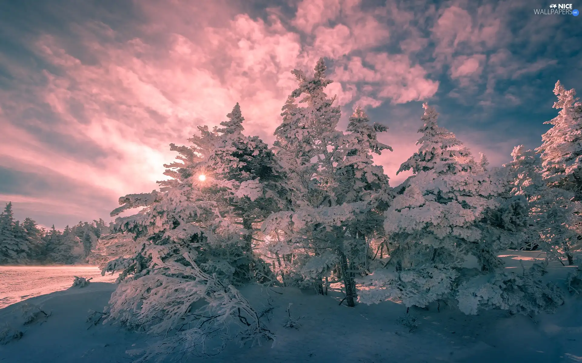 trees, winter, clouds, Sunrise, viewes, snowy