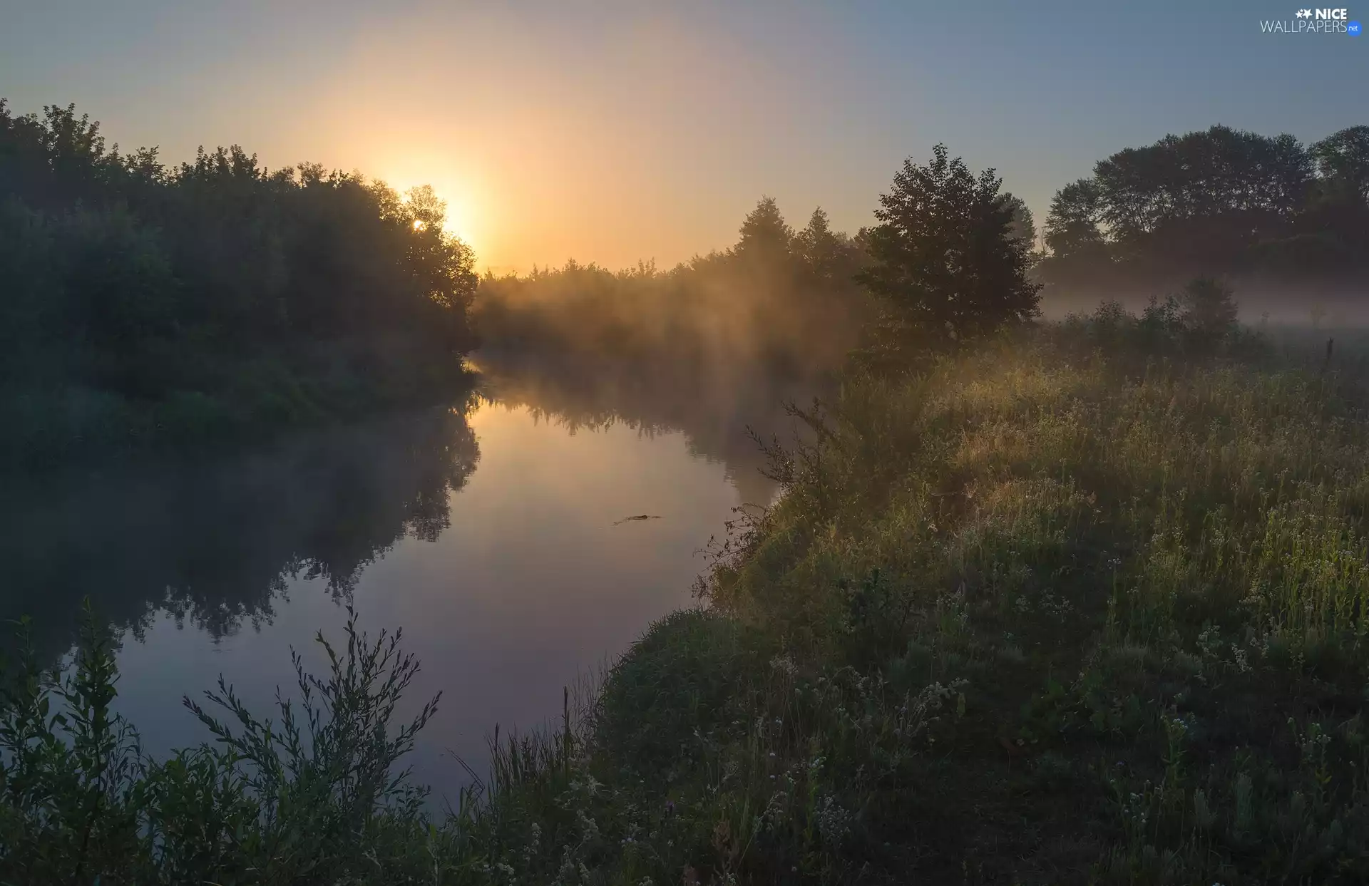 Fog, Sunrise, trees, viewes, River