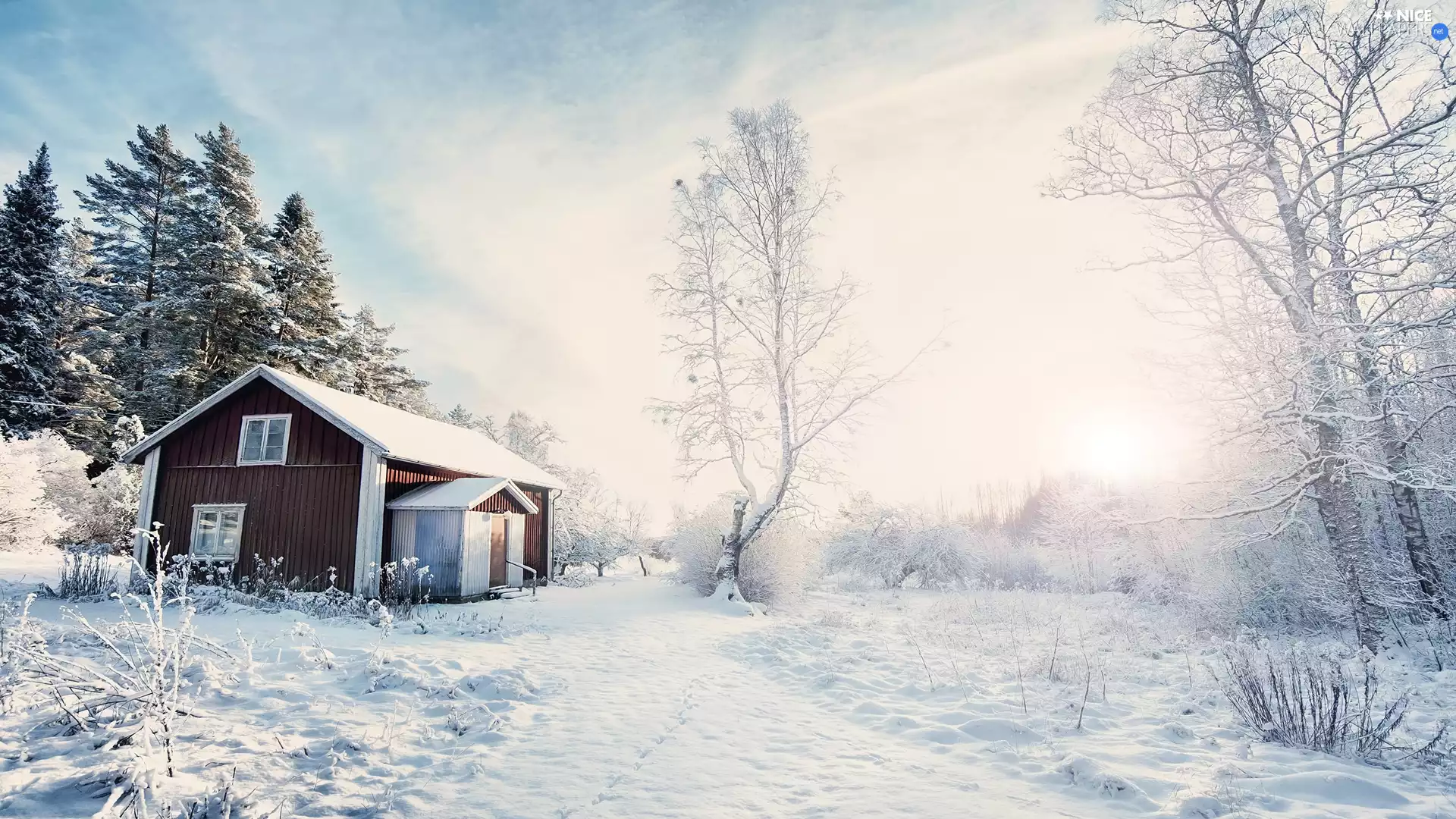 viewes, winter, Way, Sunrise, house, trees