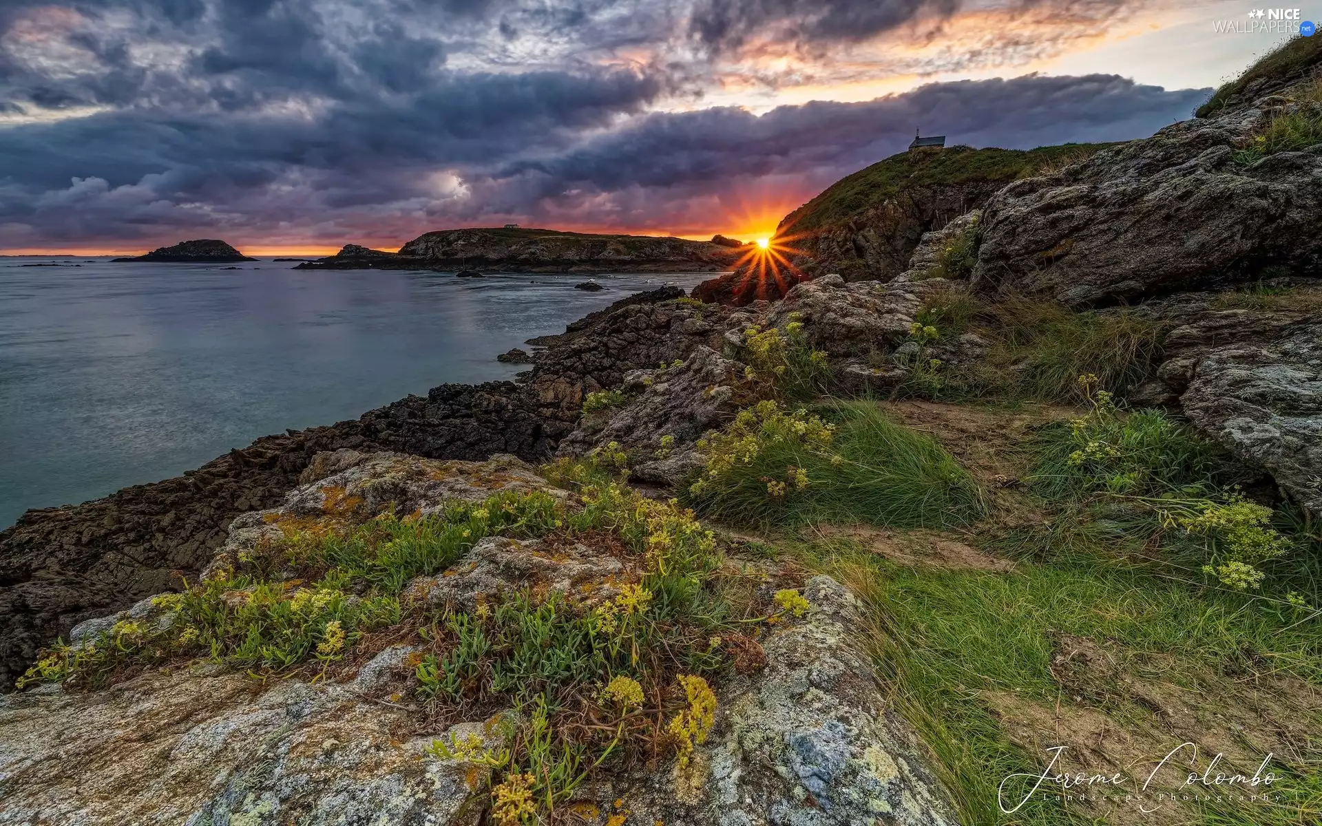 sea, Coast, VEGETATION, rocks, clouds, Brittany, France, Sunrise
