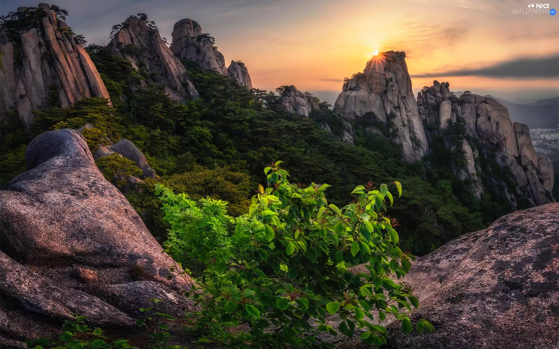 VEGETATION, rocks, viewes, Sunrise, Mountains, trees, Bush