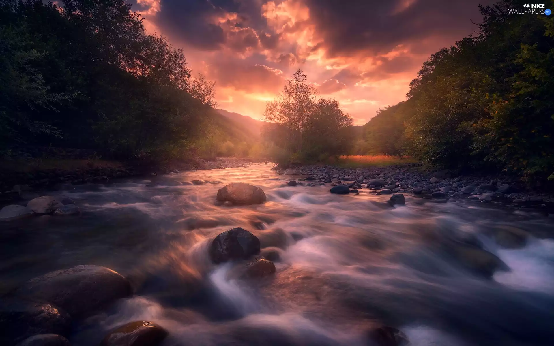 clouds, Stones, viewes, Sunrise, River, trees, forest